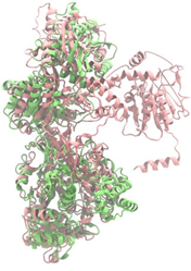 Antibiotics 14 00805 i009