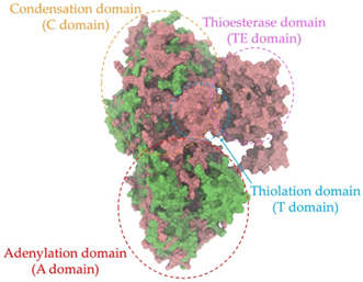 Antibiotics 14 00805 i010