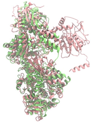 Antibiotics 14 00805 i013
