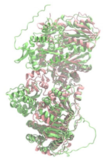 Antibiotics 14 00805 i015