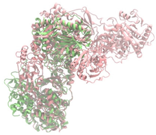 Antibiotics 14 00805 i019