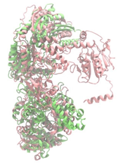 Antibiotics 14 00805 i021