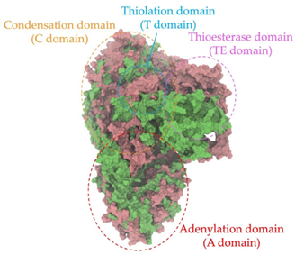 Antibiotics 14 00805 i028