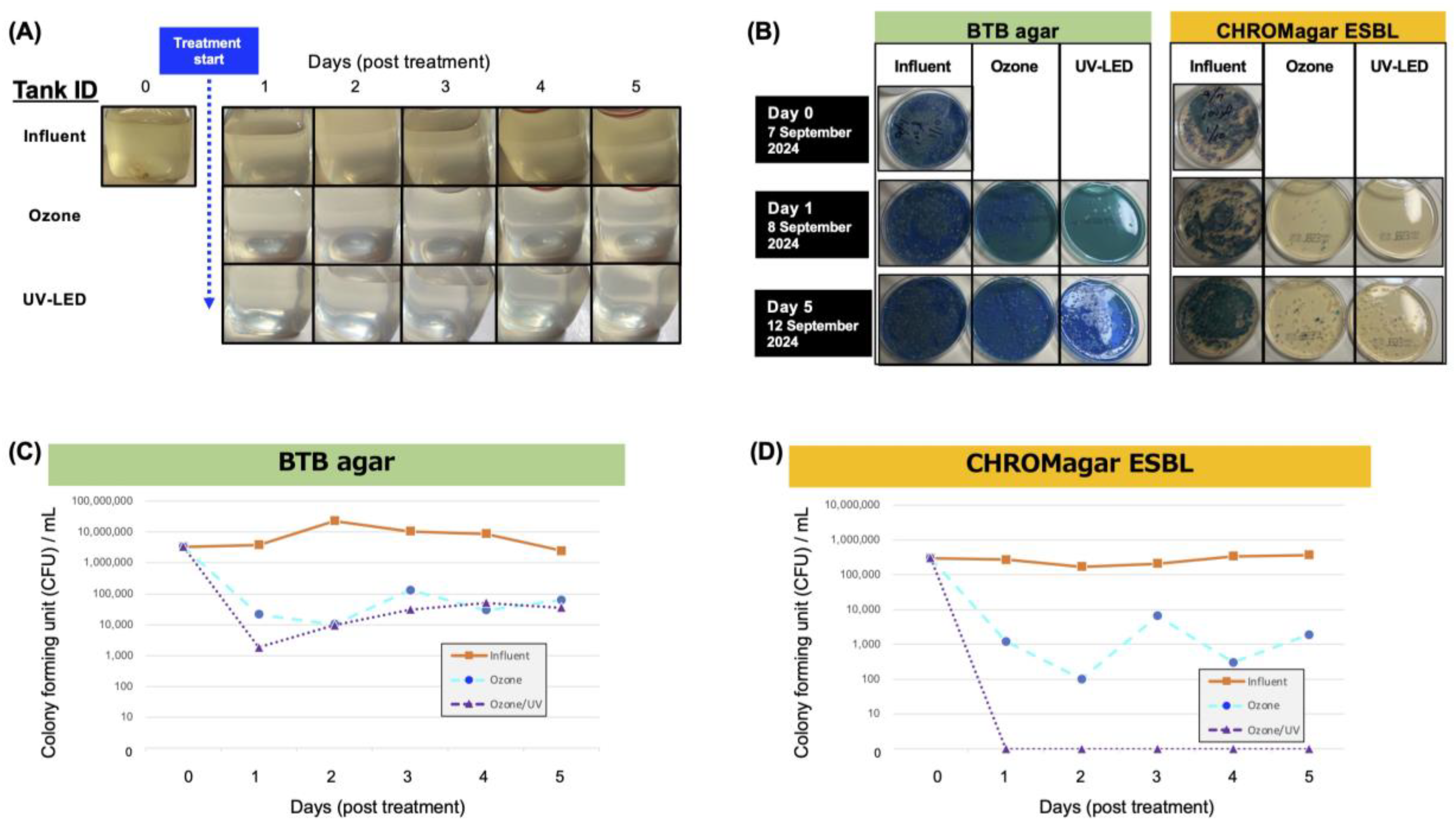Antibiotics 14 00807 g002