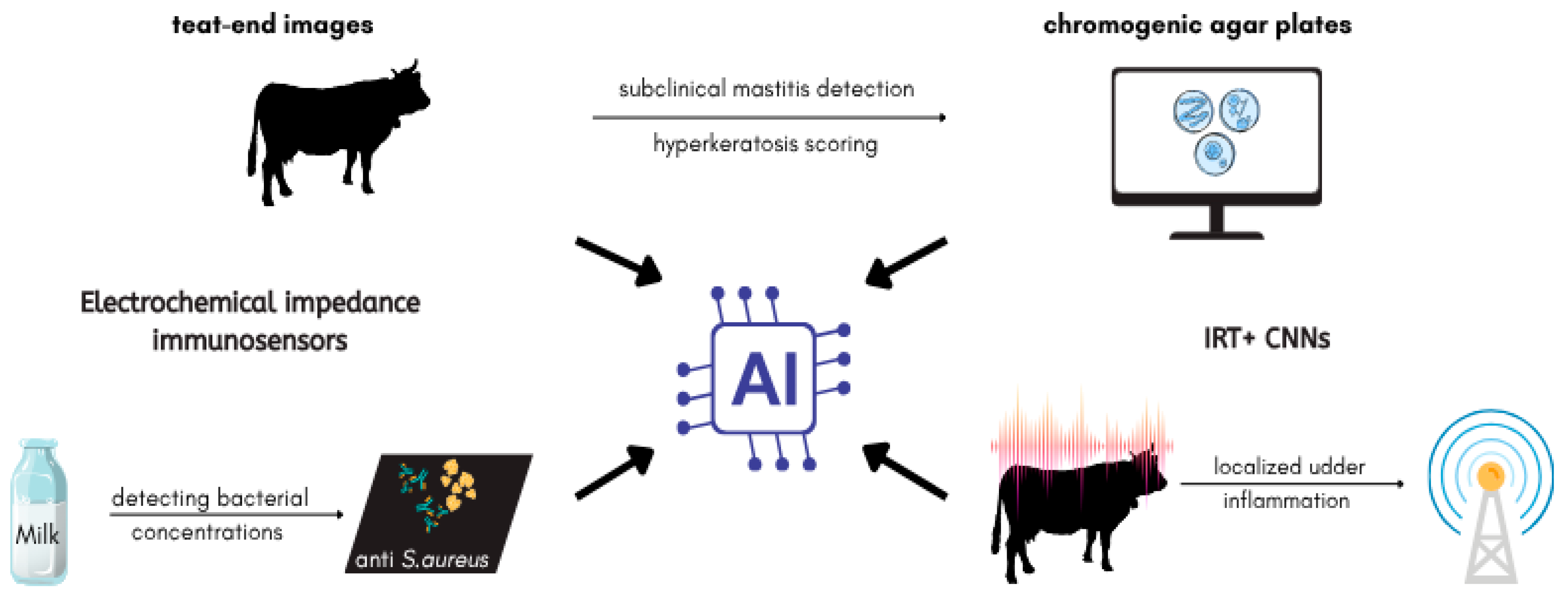 Antibiotics 14 00810 g003