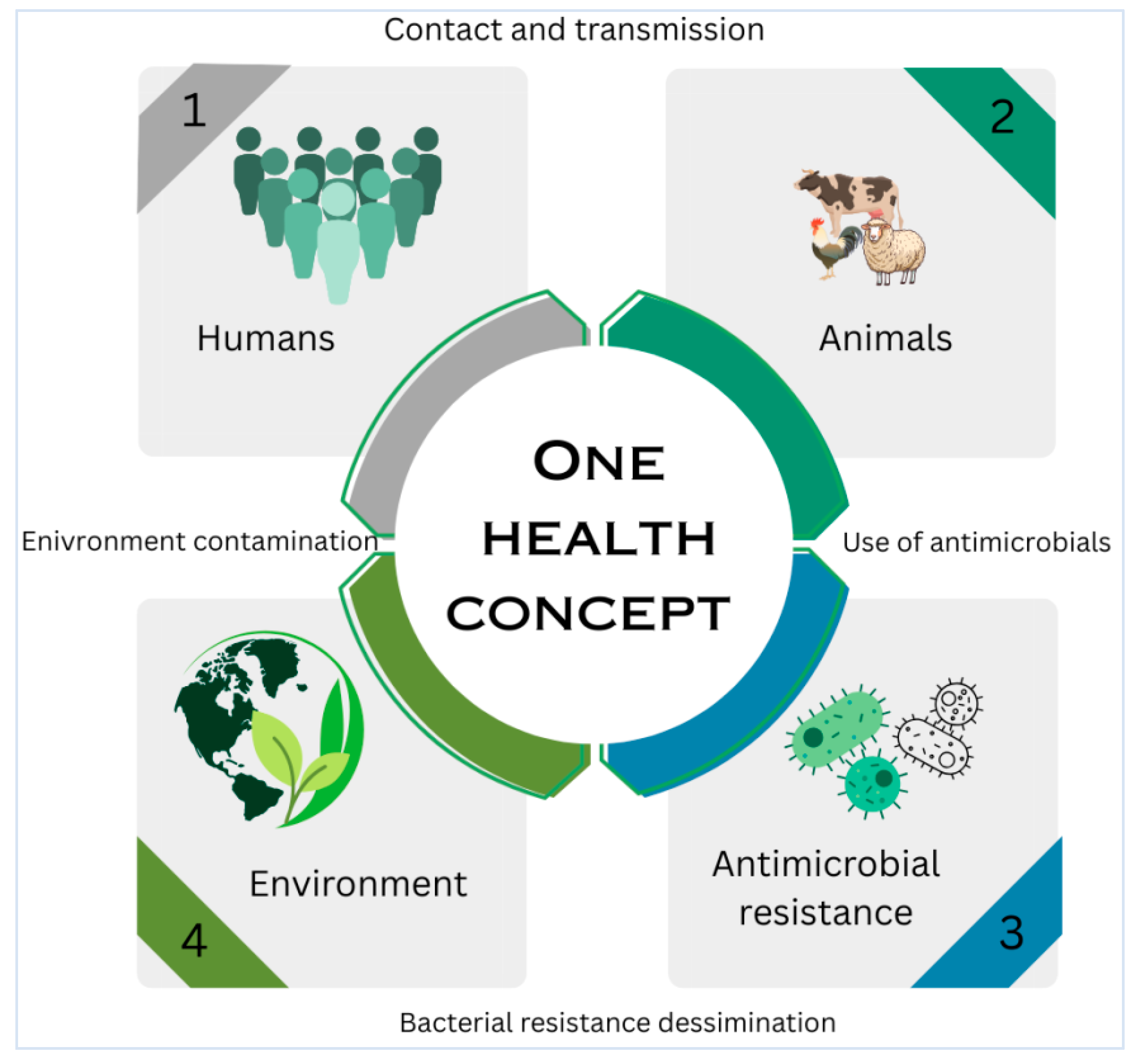 Antibiotics 14 00810 g004