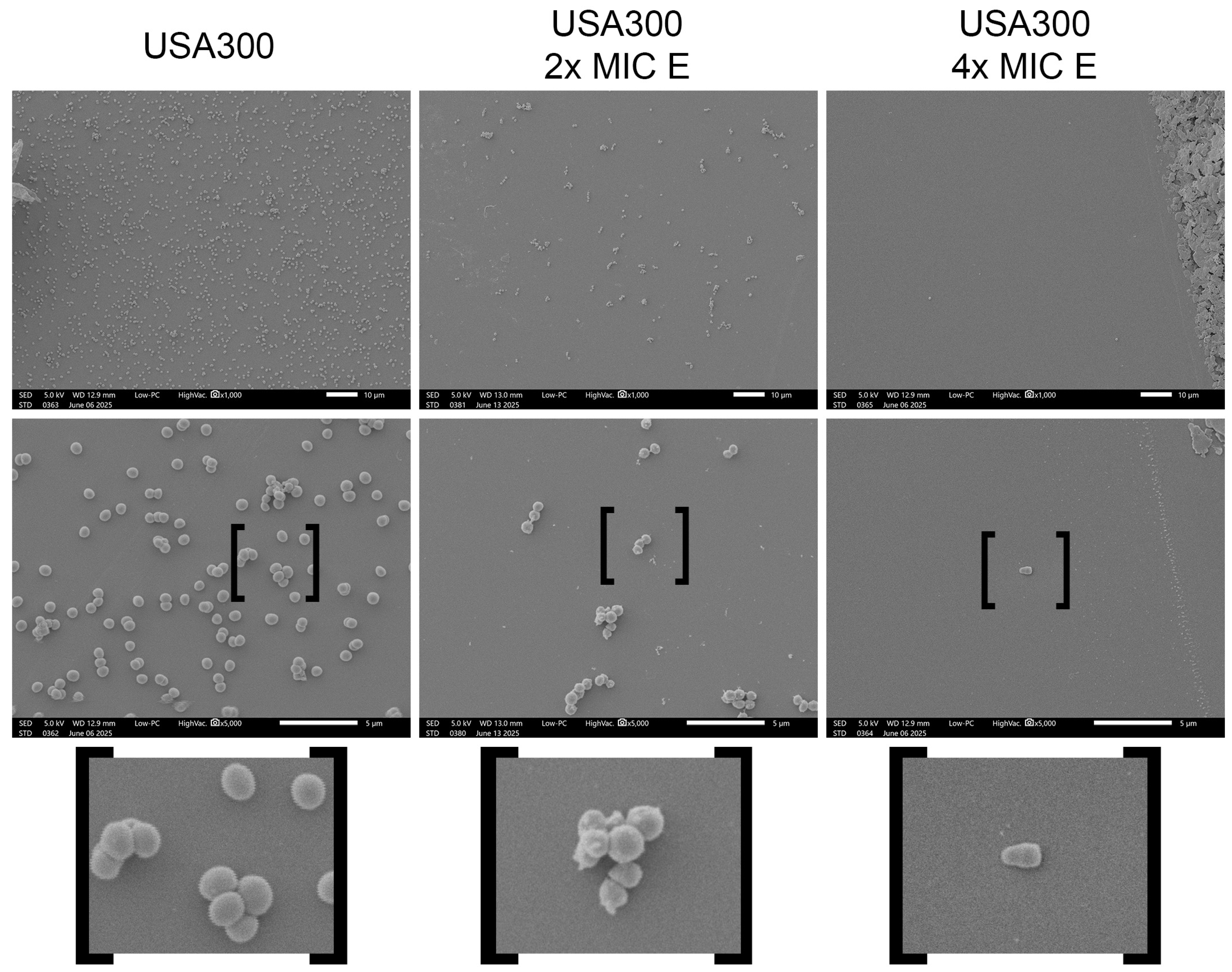 Antibiotics 14 00812 g001 Antibiotics 14 00812 g001