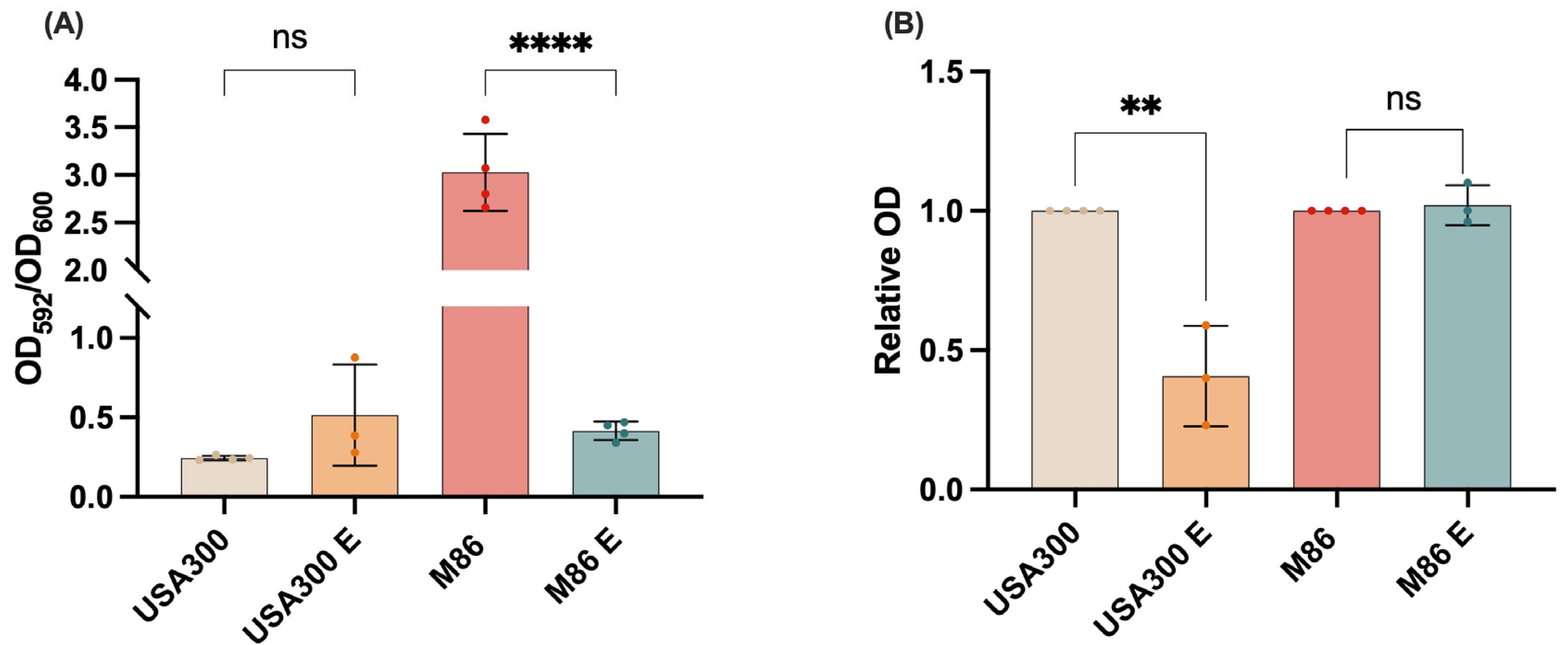 Antibiotics 14 00812 g004 Antibiotics 14 00812 g004