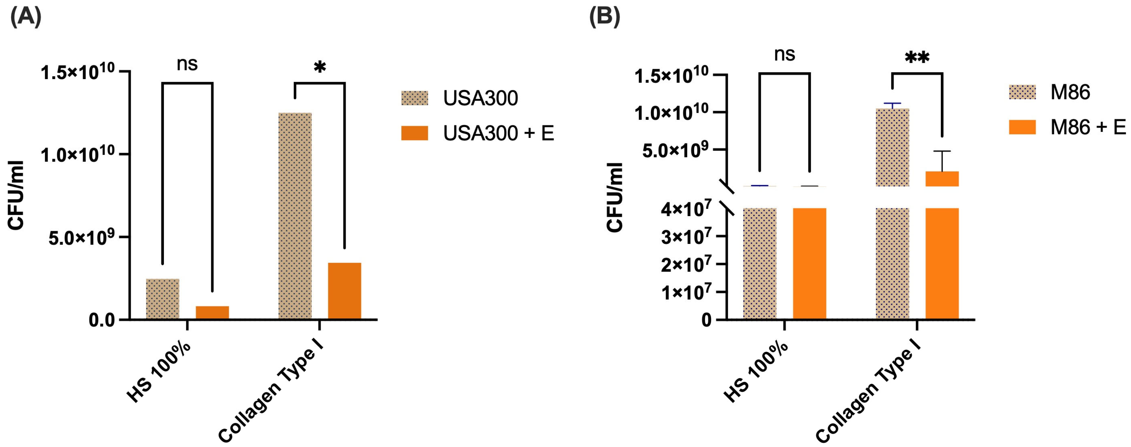 Antibiotics 14 00812 g005 Antibiotics 14 00812 g005