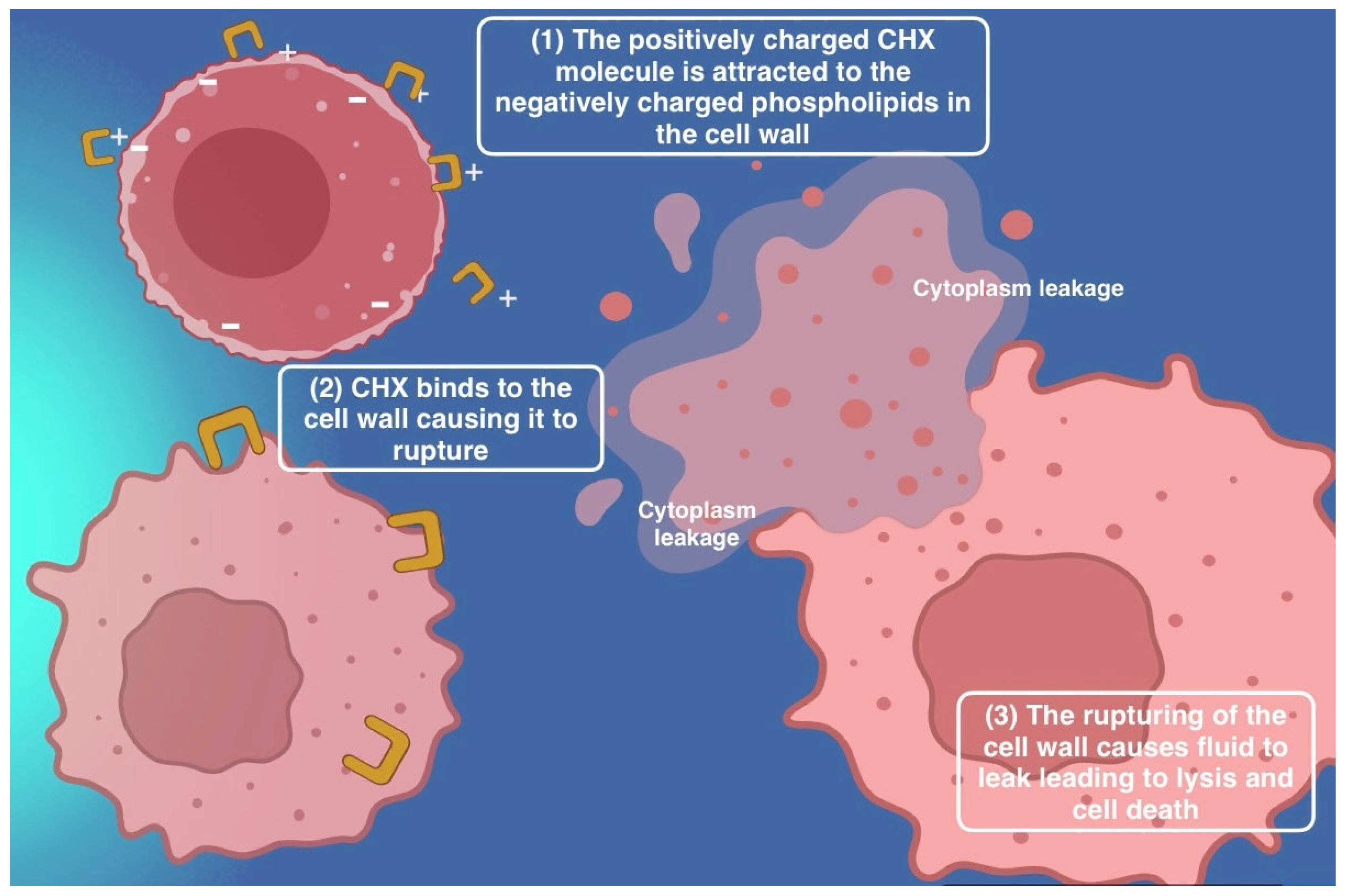 Antibiotics 14 00815 g002 Antibiotics 14 00815 g002