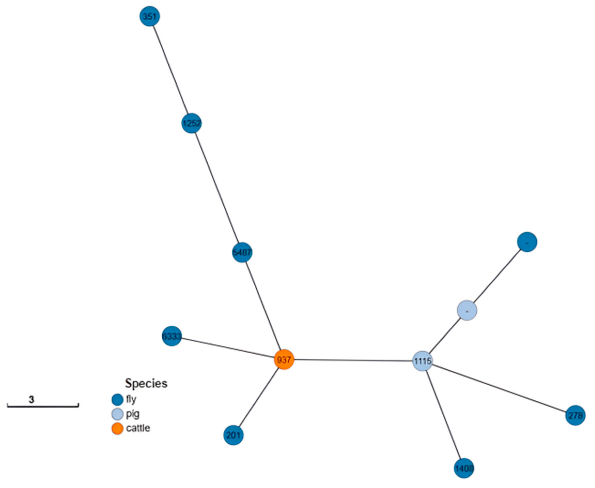 Antibiotics 14 00818 g001 Antibiotics 14 00818 g001
