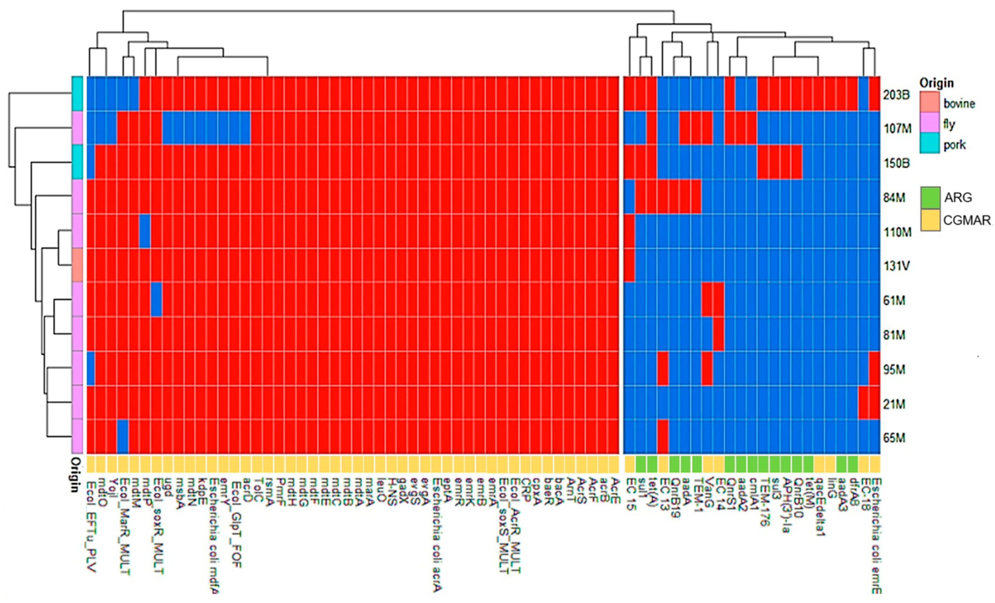 Antibiotics 14 00818 g002 Antibiotics 14 00818 g002