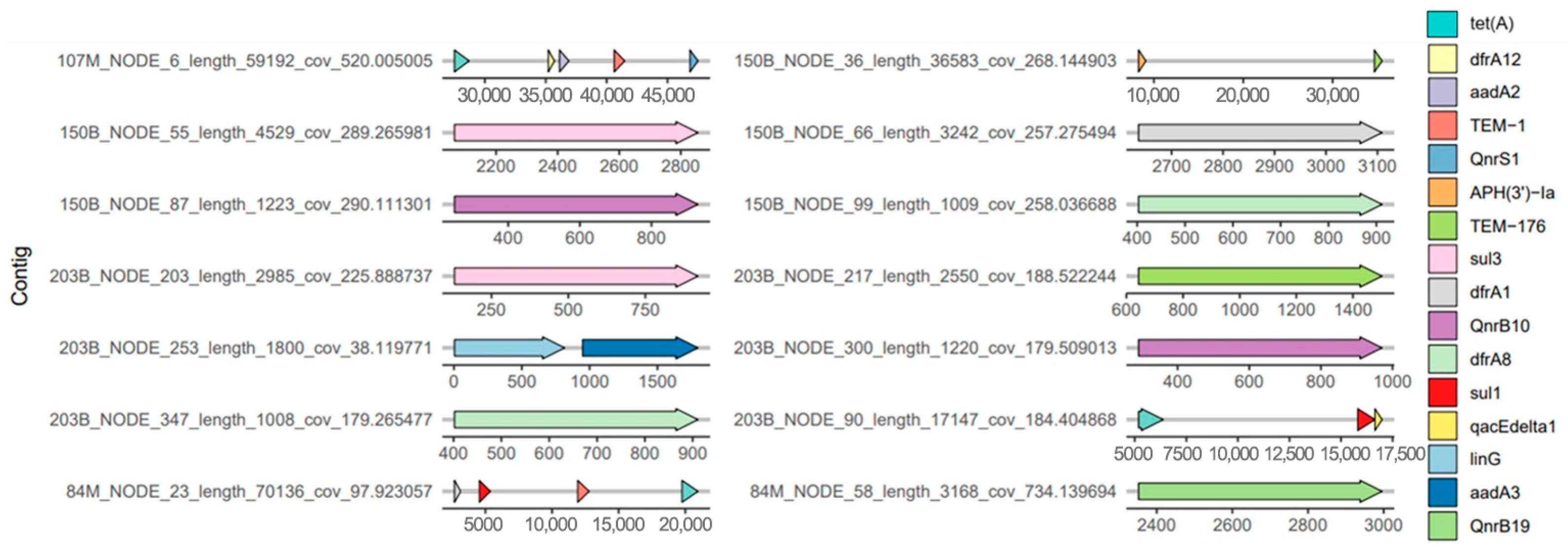 Antibiotics 14 00818 g003 Antibiotics 14 00818 g003