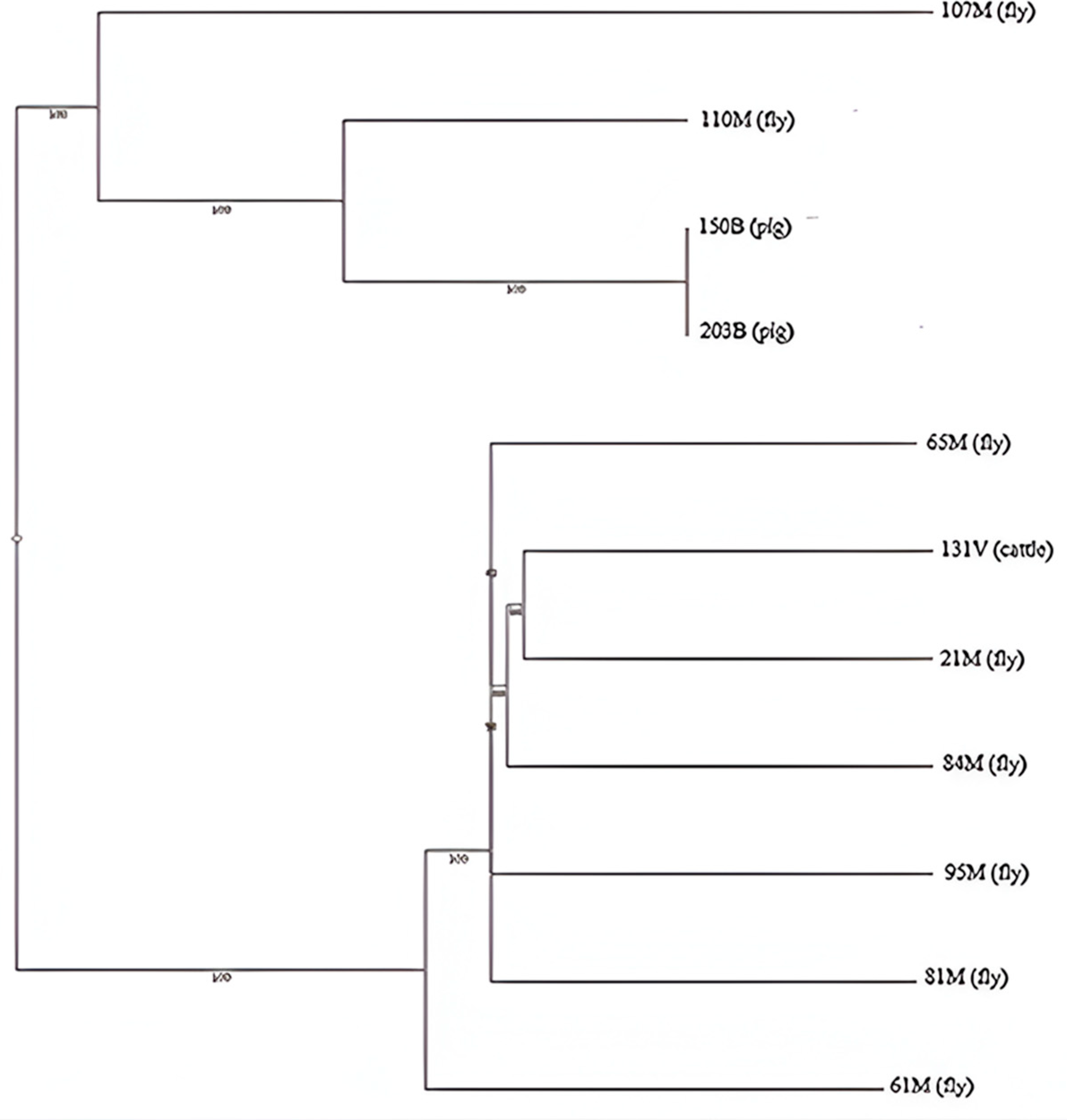 Antibiotics 14 00818 g004 Antibiotics 14 00818 g004