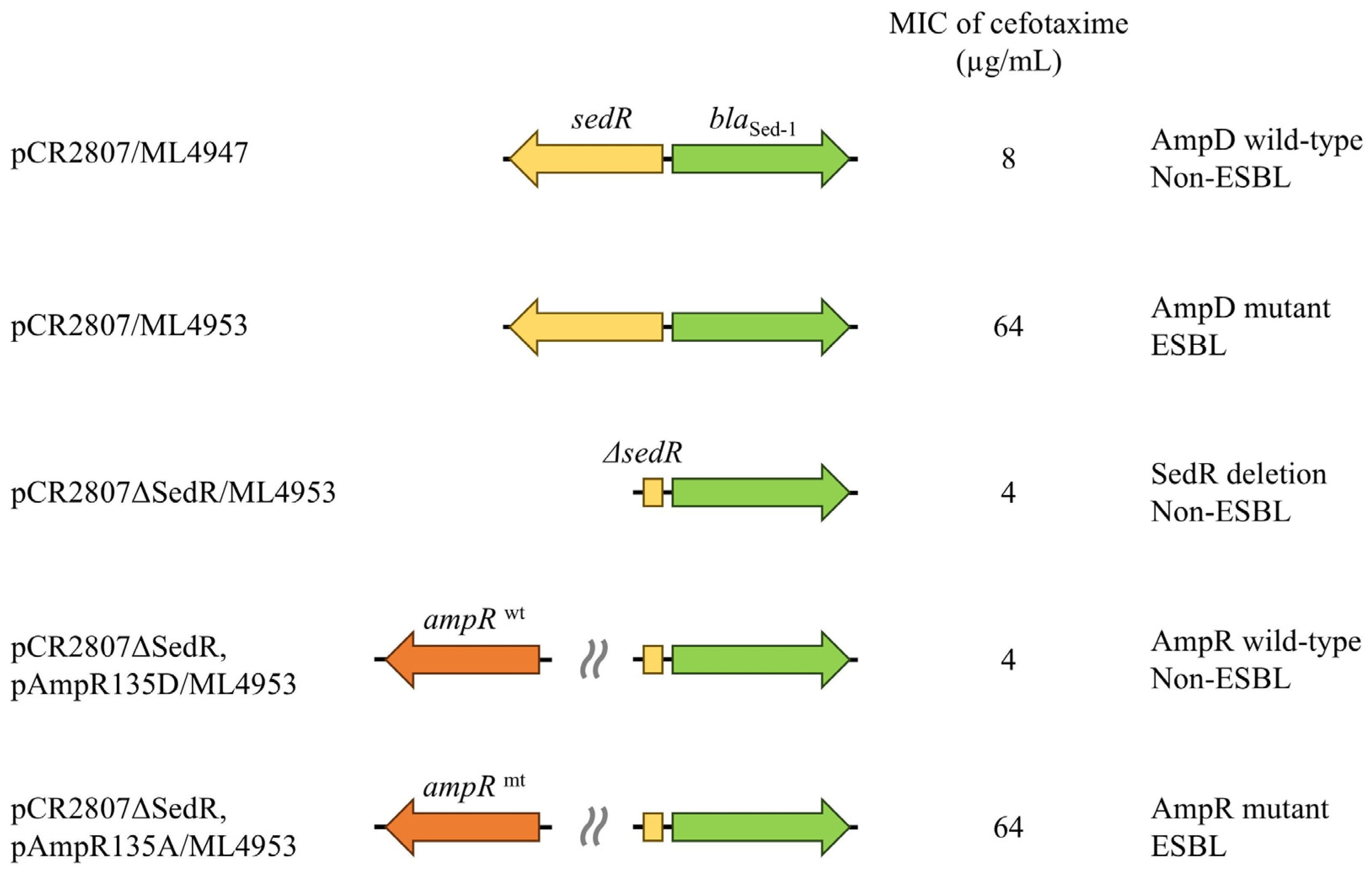 Antibiotics 14 00823 g002