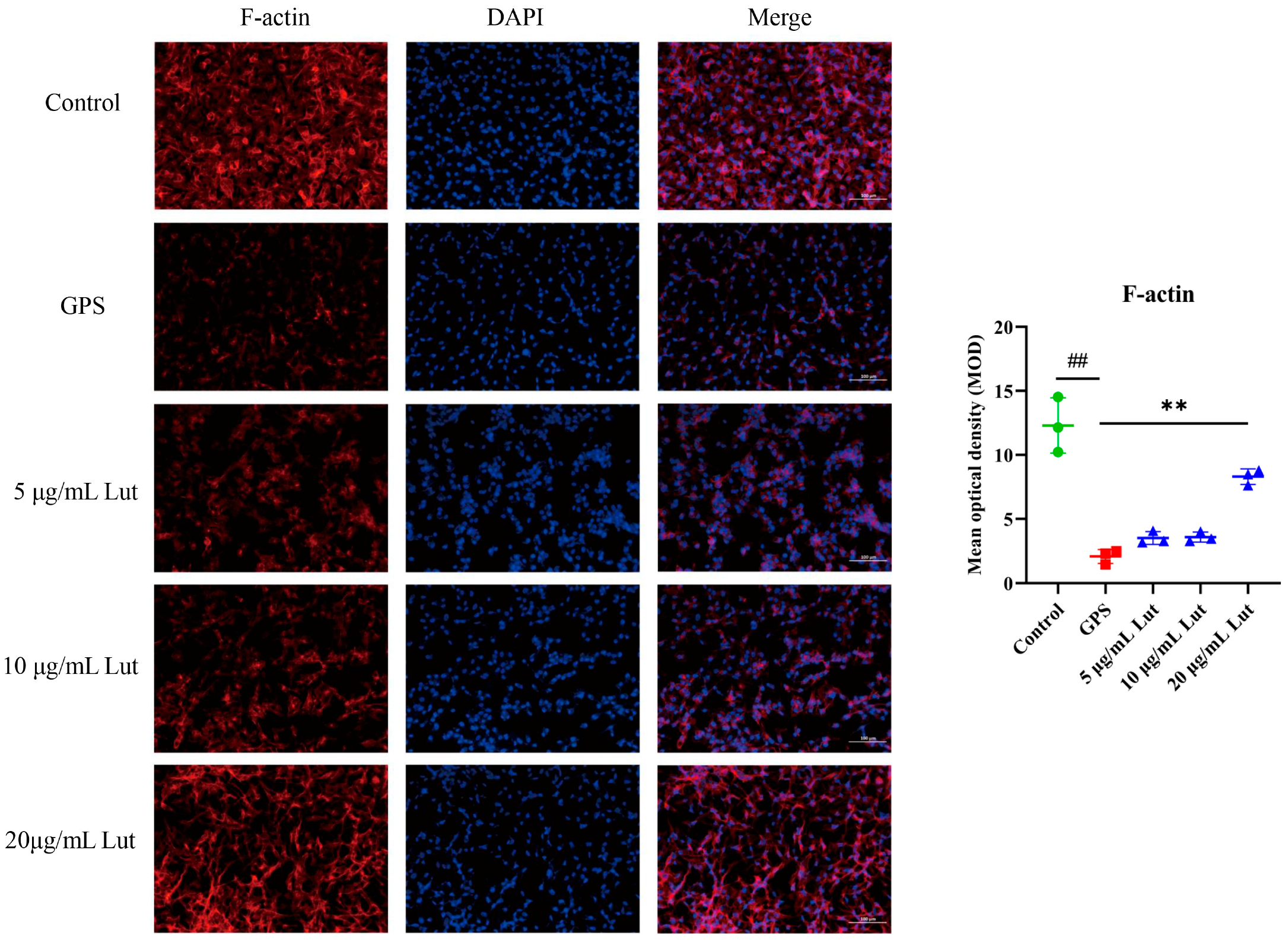 Antibiotics 14 00824 g002 Antibiotics 14 00824 g002