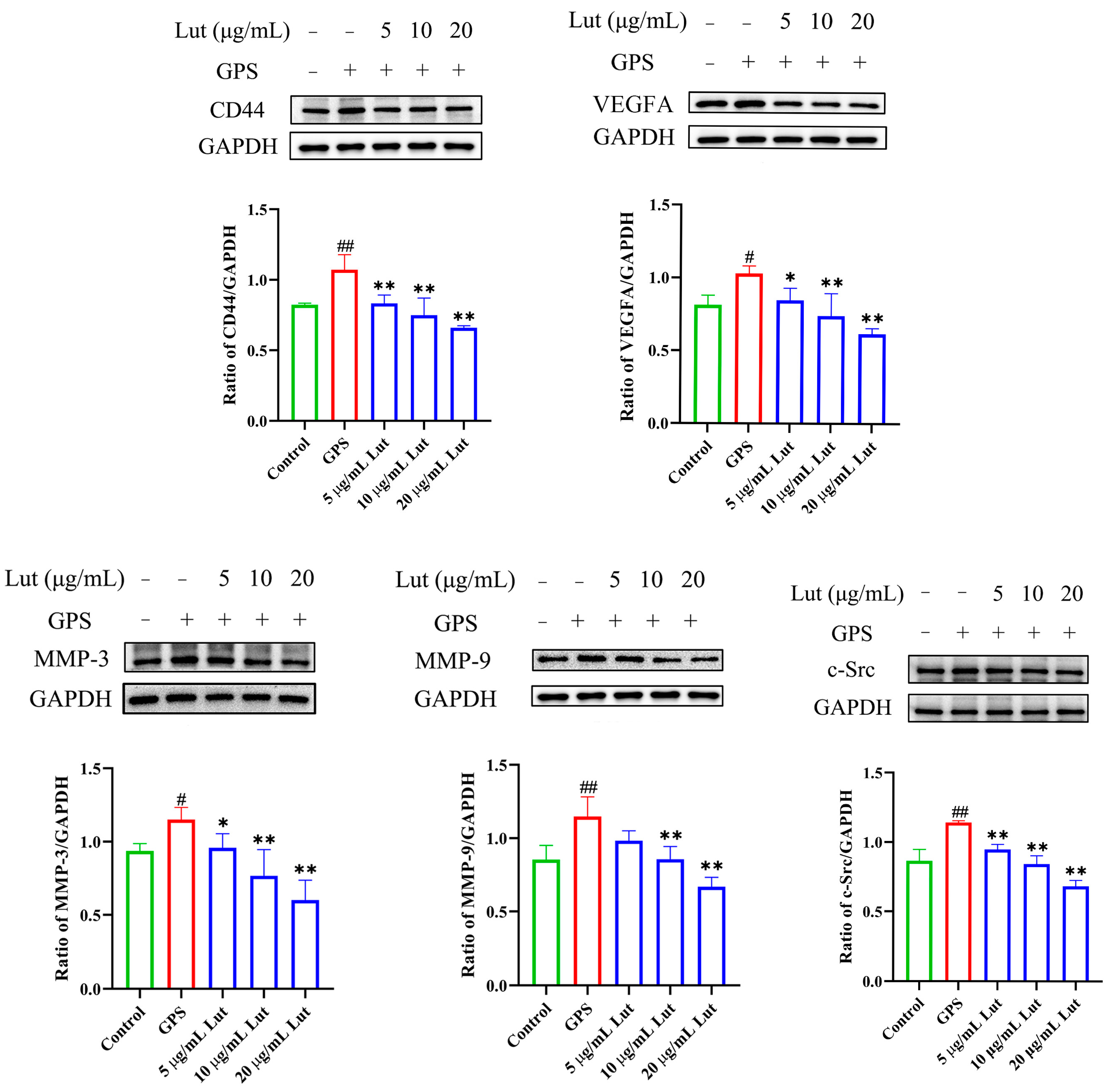 Antibiotics 14 00824 g003 Antibiotics 14 00824 g003