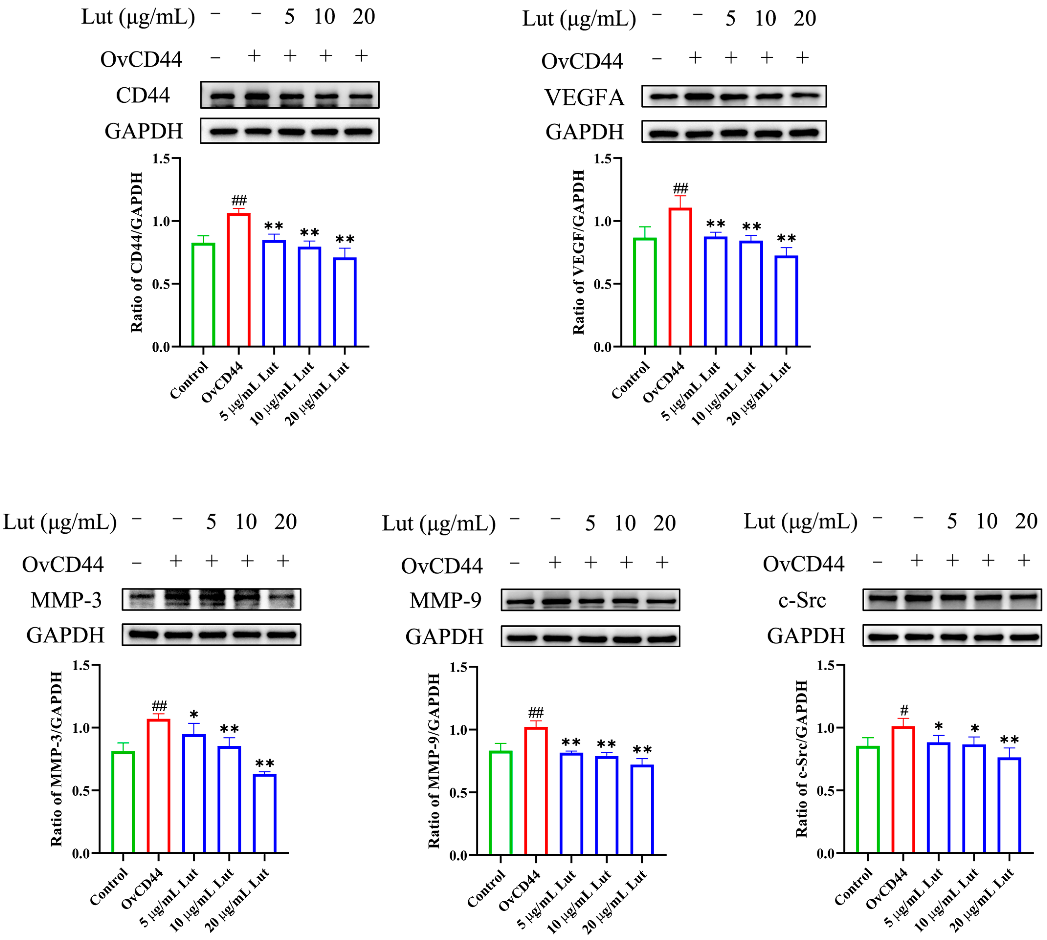 Antibiotics 14 00824 g004 Antibiotics 14 00824 g004