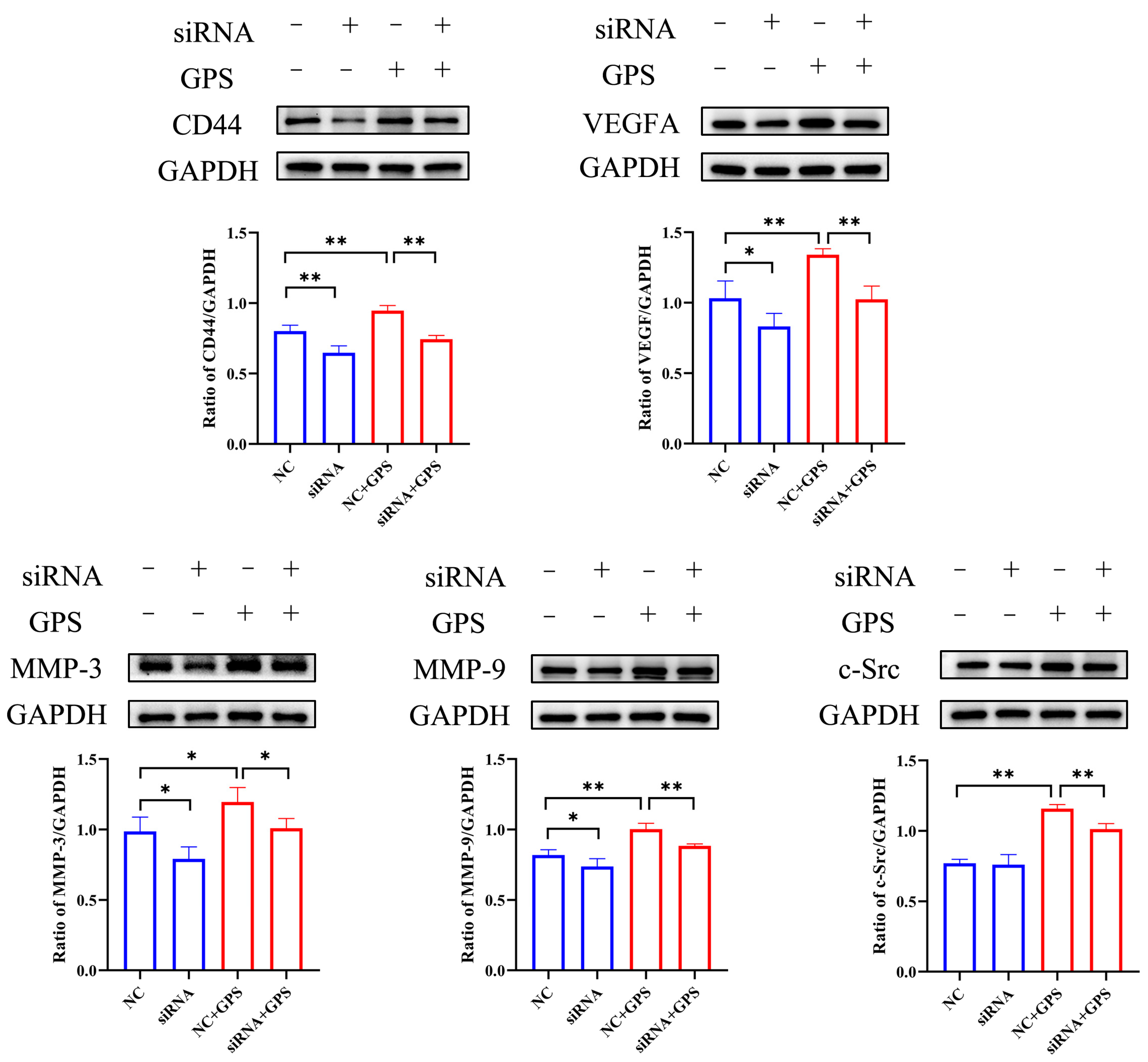 Antibiotics 14 00824 g005 Antibiotics 14 00824 g005