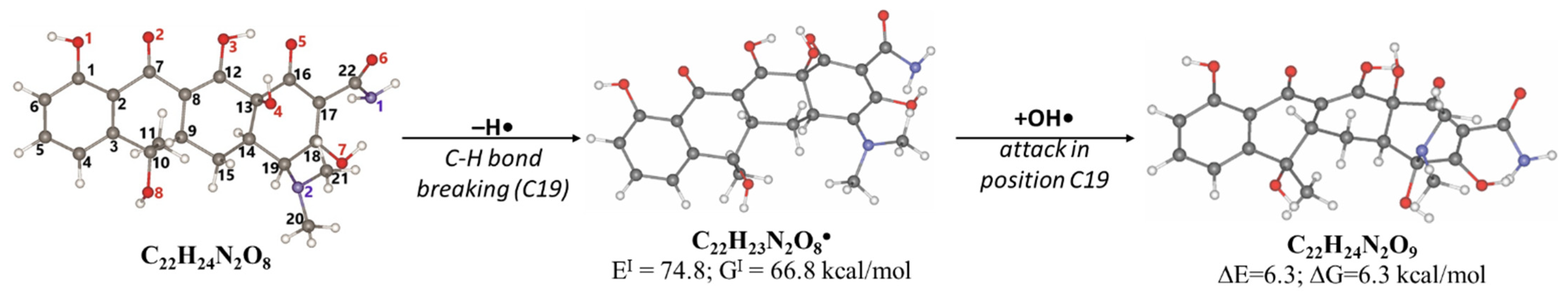 Antibiotics 14 00833 g006