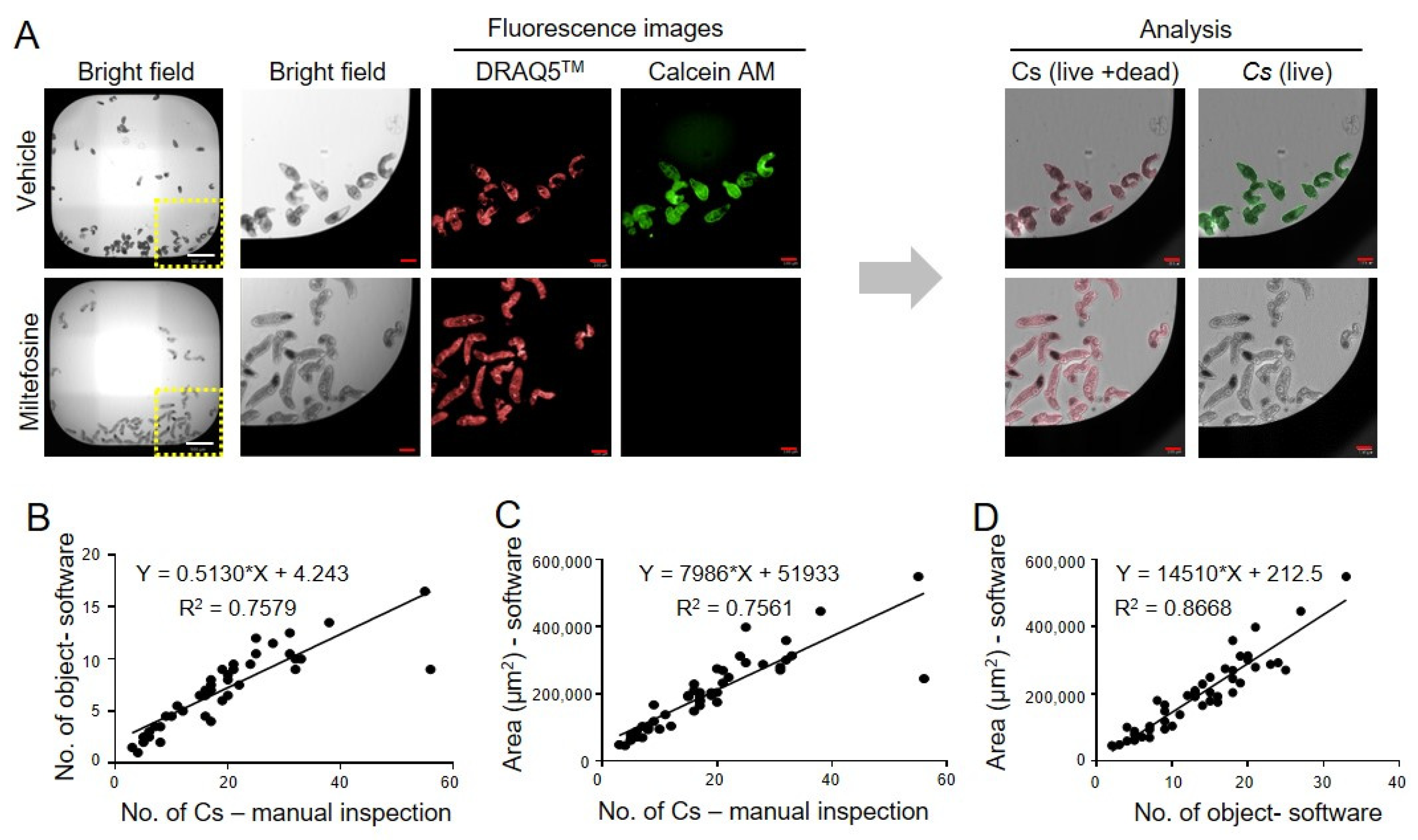 Antibiotics 14 00837 g002