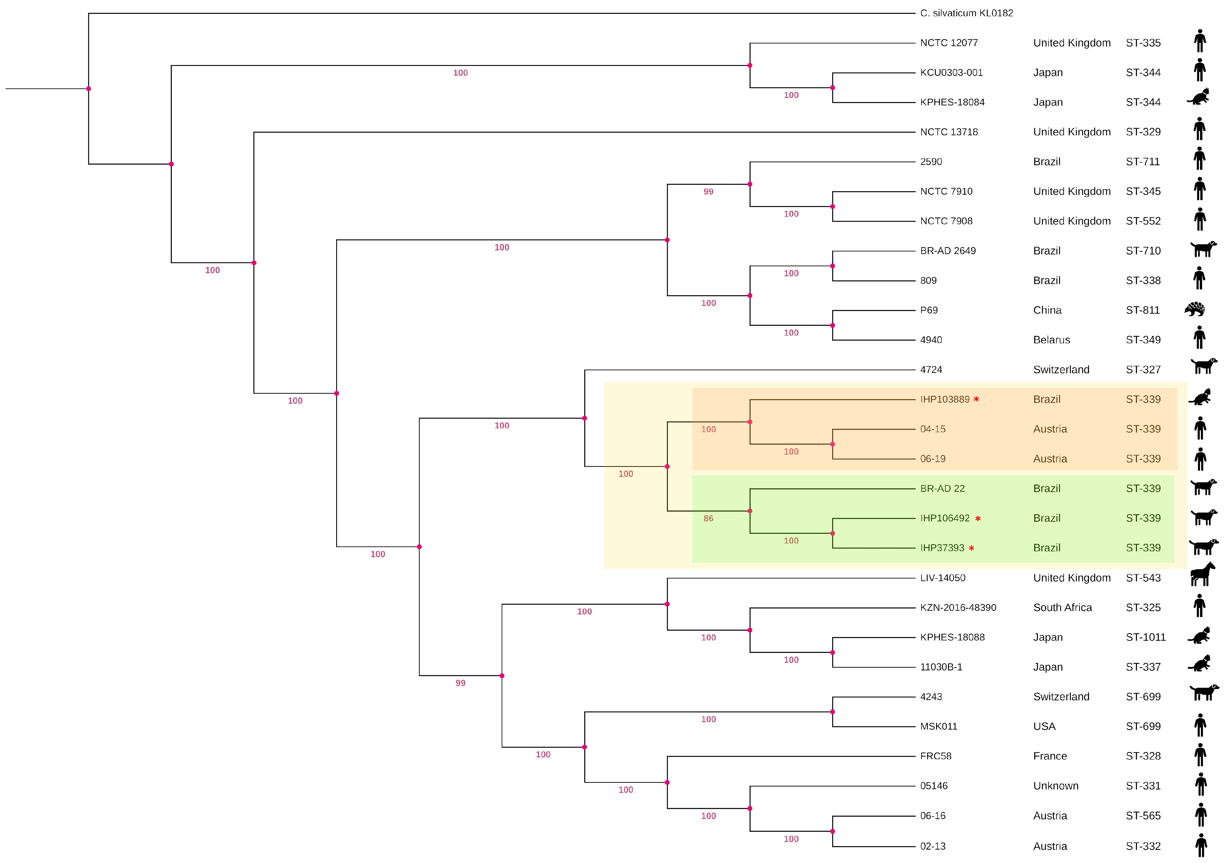 Antibiotics 14 00843 g001 Antibiotics 14 00843 g001