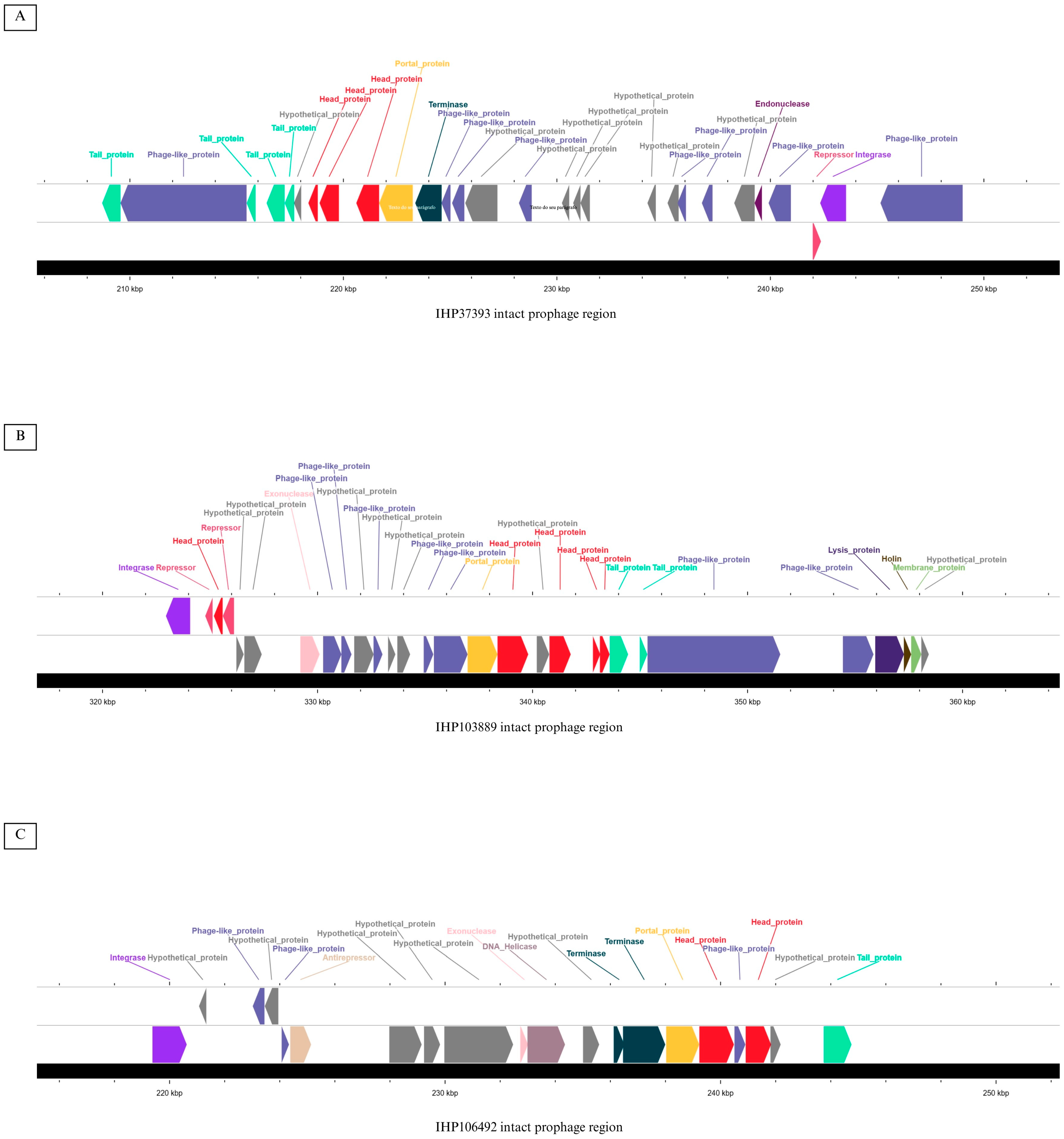 Antibiotics 14 00843 g002 Antibiotics 14 00843 g002