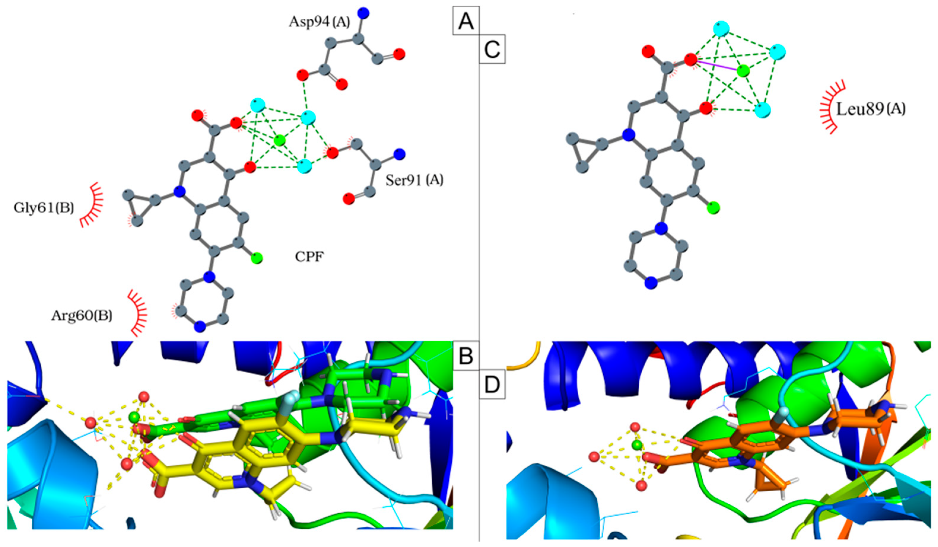 Antibiotics 14 00843 g005 Antibiotics 14 00843 g005