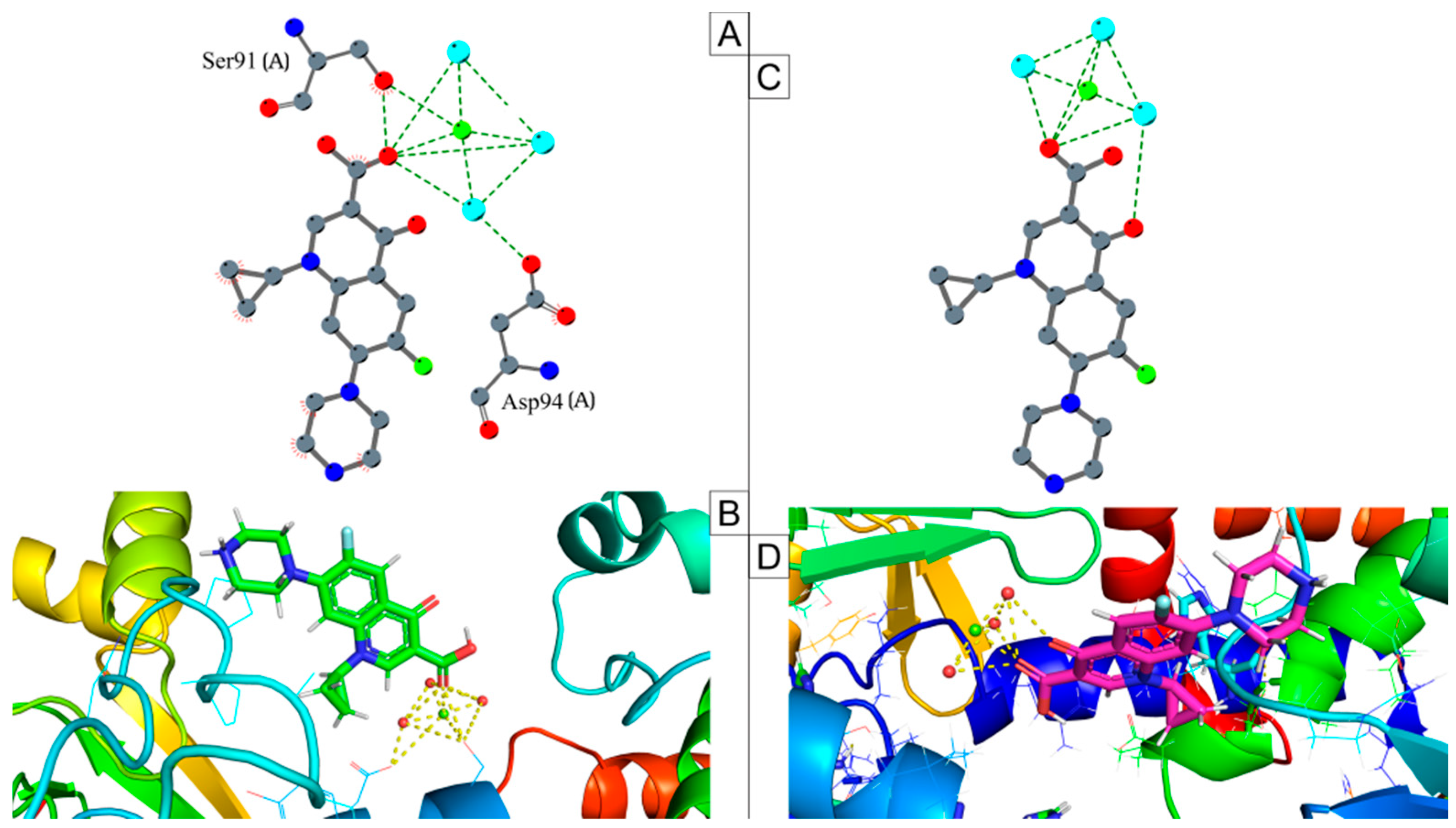 Antibiotics 14 00843 g008 Antibiotics 14 00843 g008