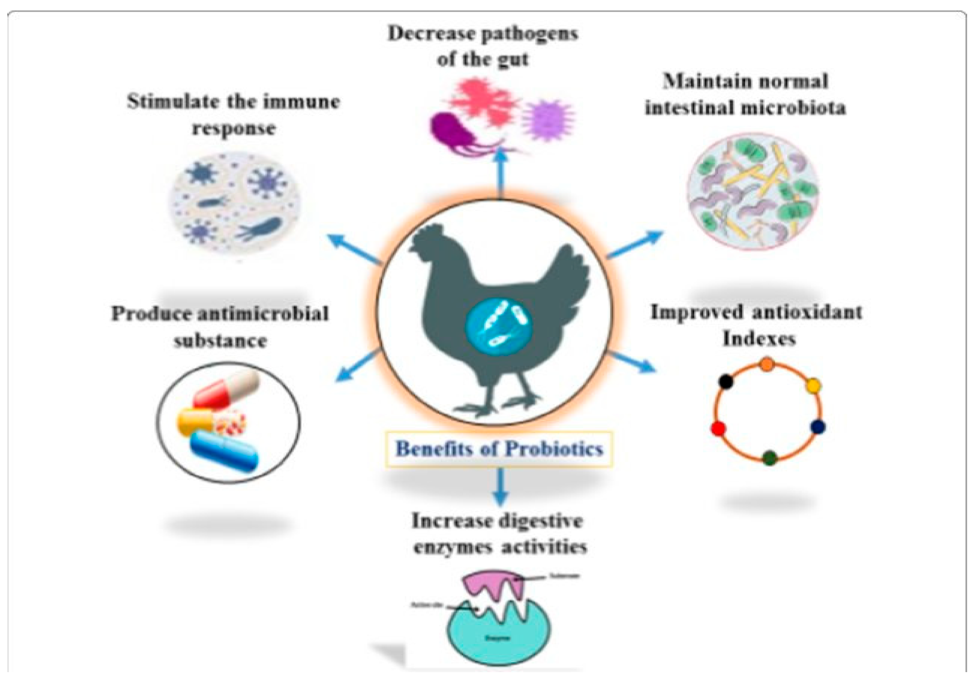 Antibiotics 14 00846 g001 Antibiotics 14 00846 g001