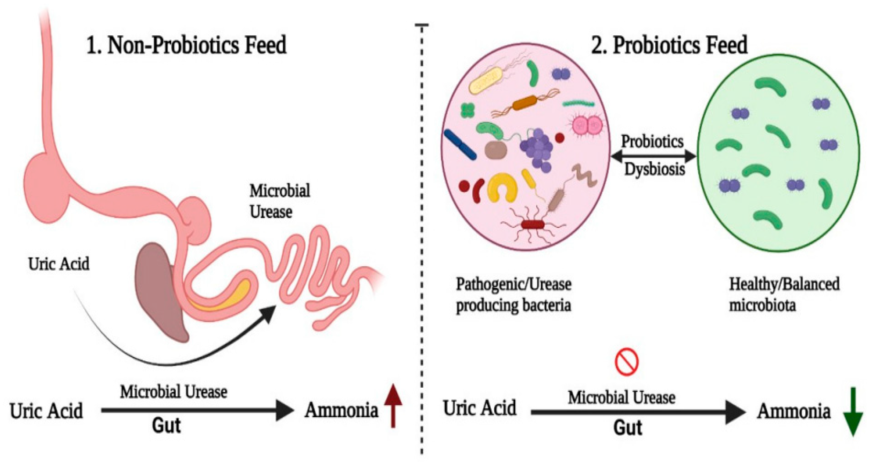 Antibiotics 14 00846 g002 Antibiotics 14 00846 g002