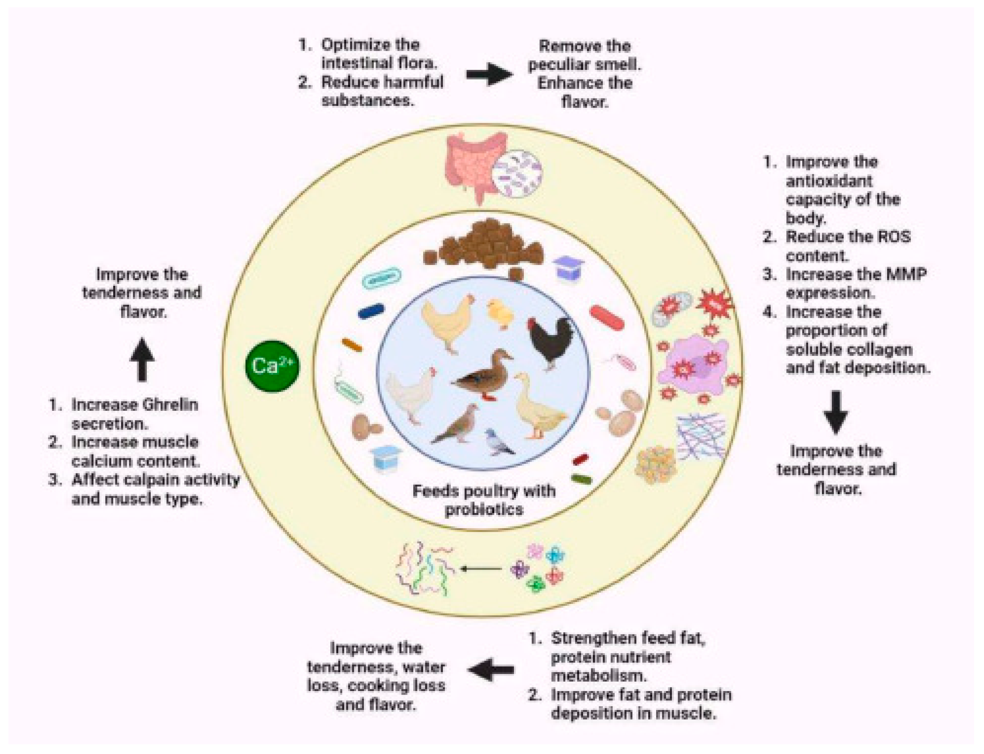 Antibiotics 14 00846 g003 Antibiotics 14 00846 g003