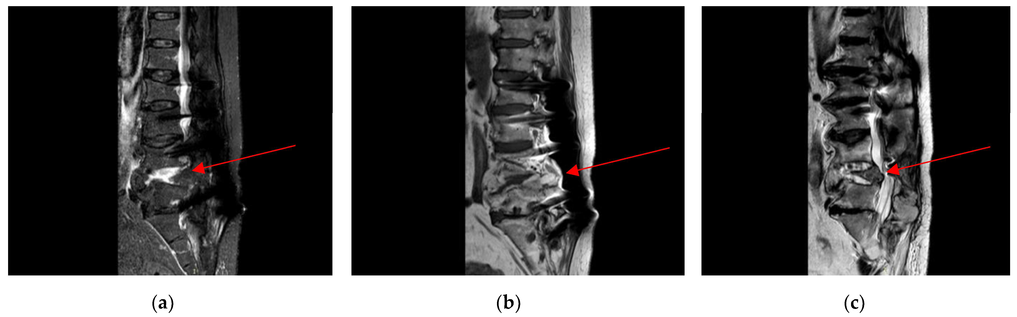 Antibiotics 14 00854 g002