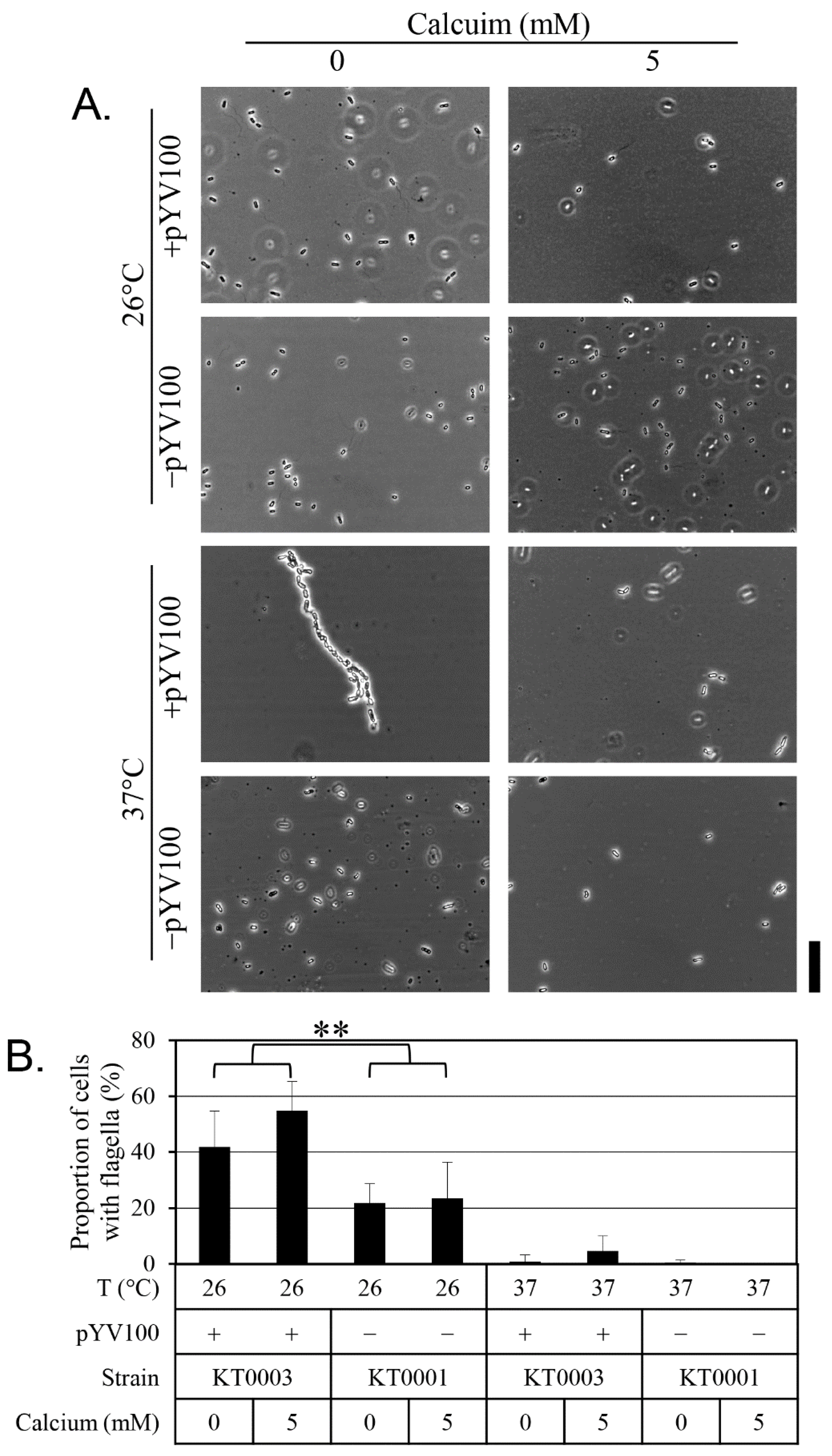Antibiotics 14 00857 g003 Antibiotics 14 00857 g003