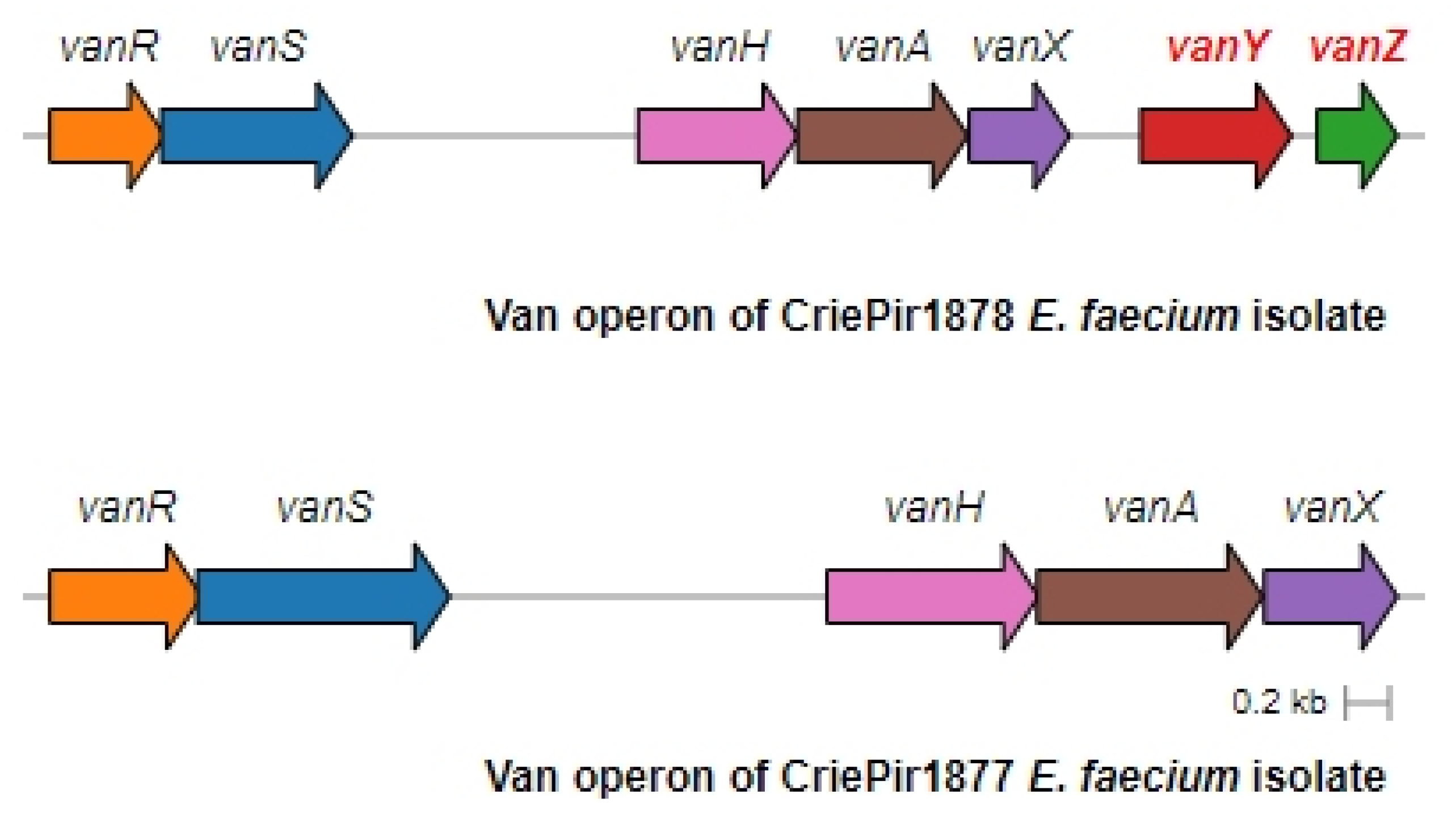 Antibiotics 14 00858 g003
