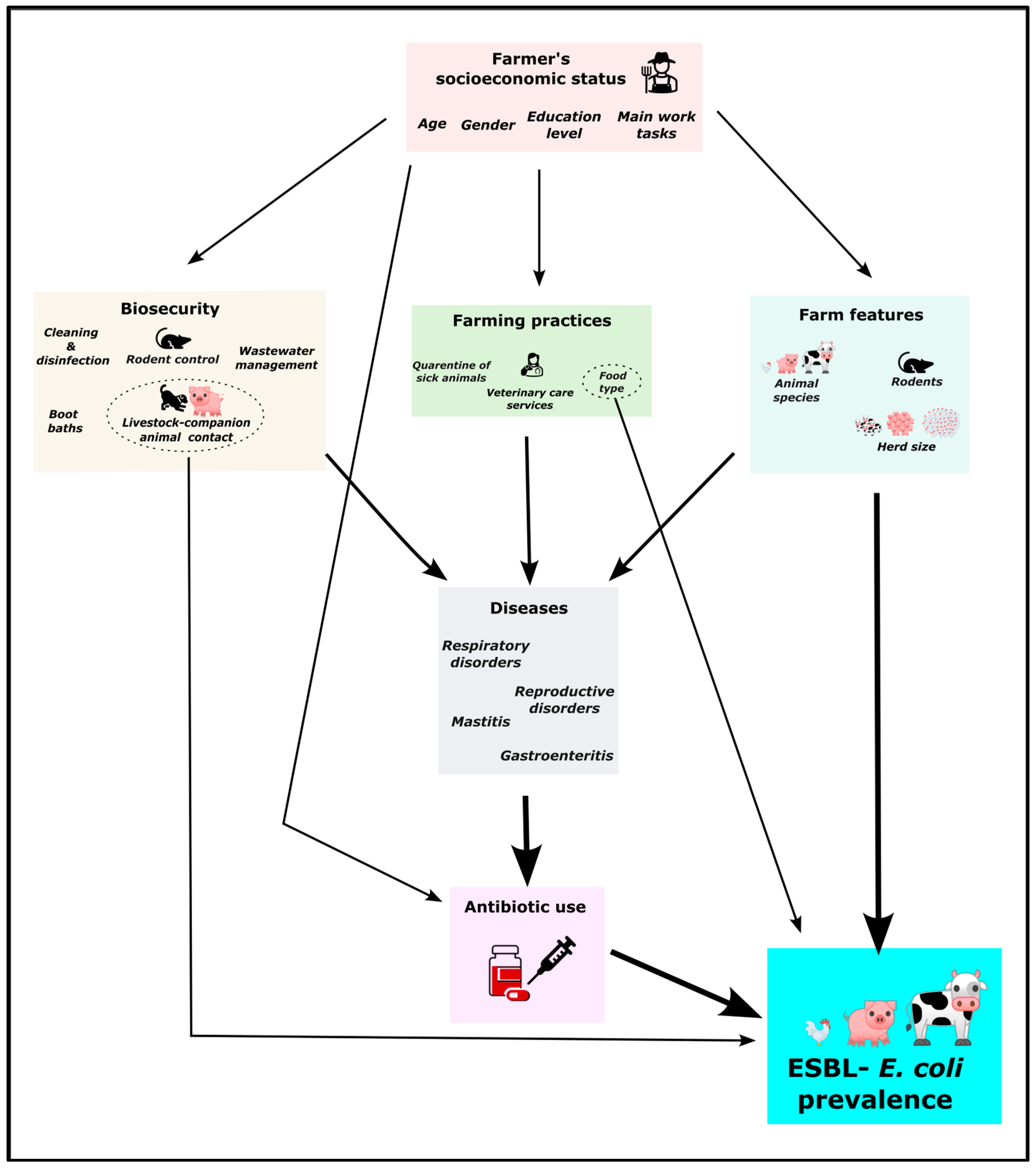 Antibiotics 14 00867 g007