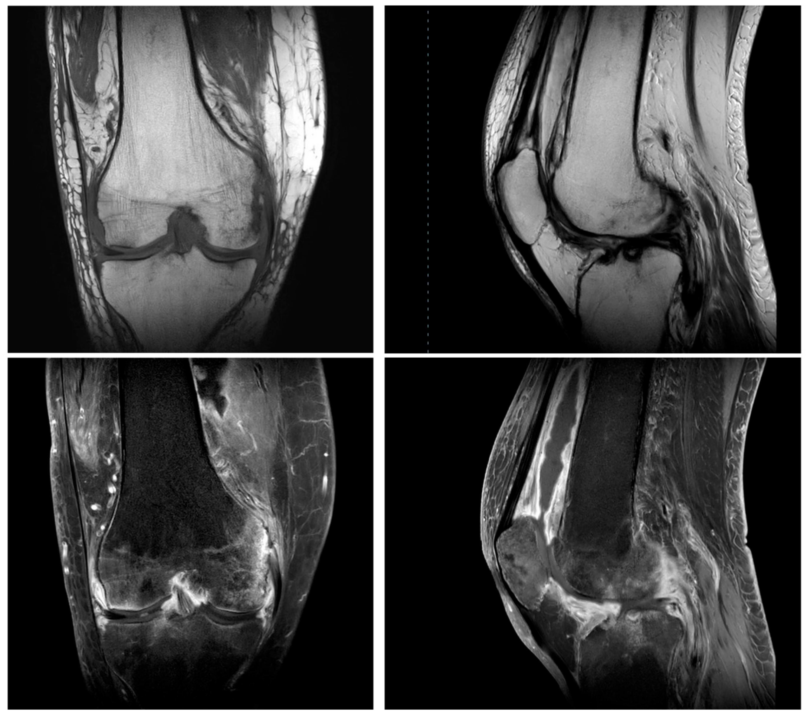 Antibiotics 14 00880 g001 Antibiotics 14 00880 g001