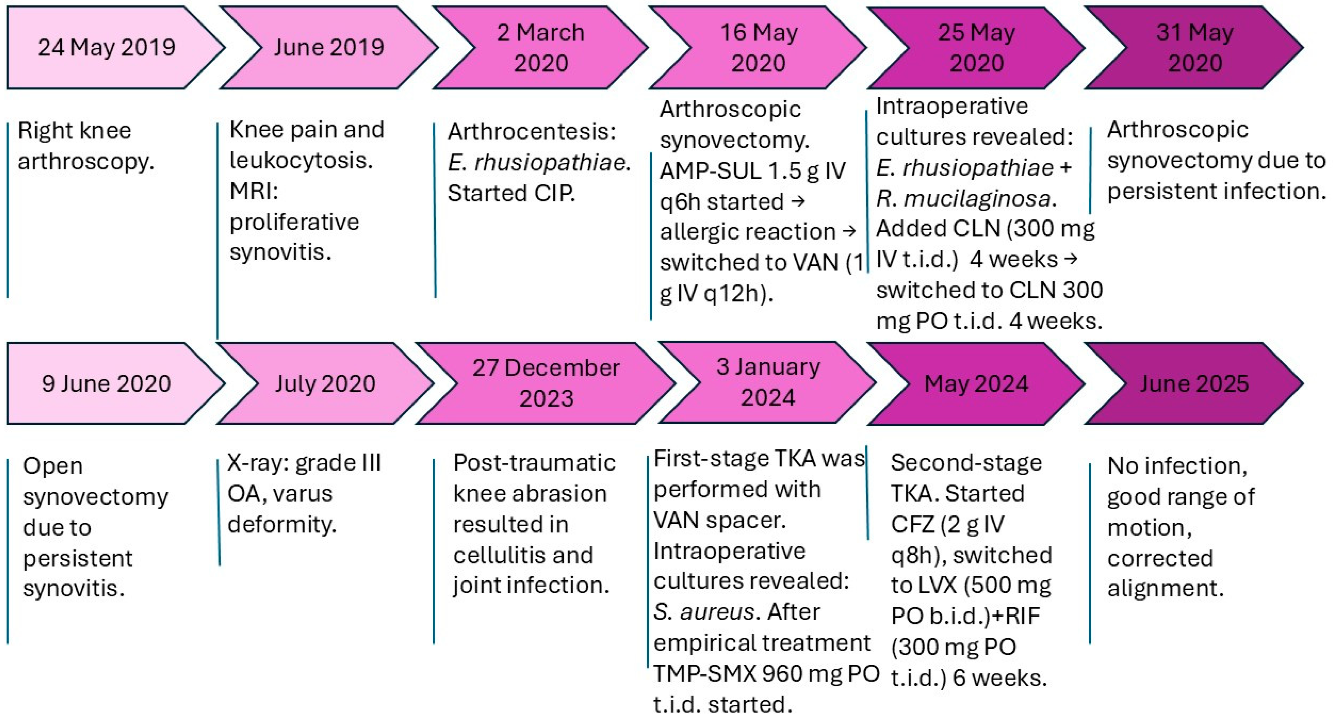 Antibiotics 14 00880 g002 Antibiotics 14 00880 g002