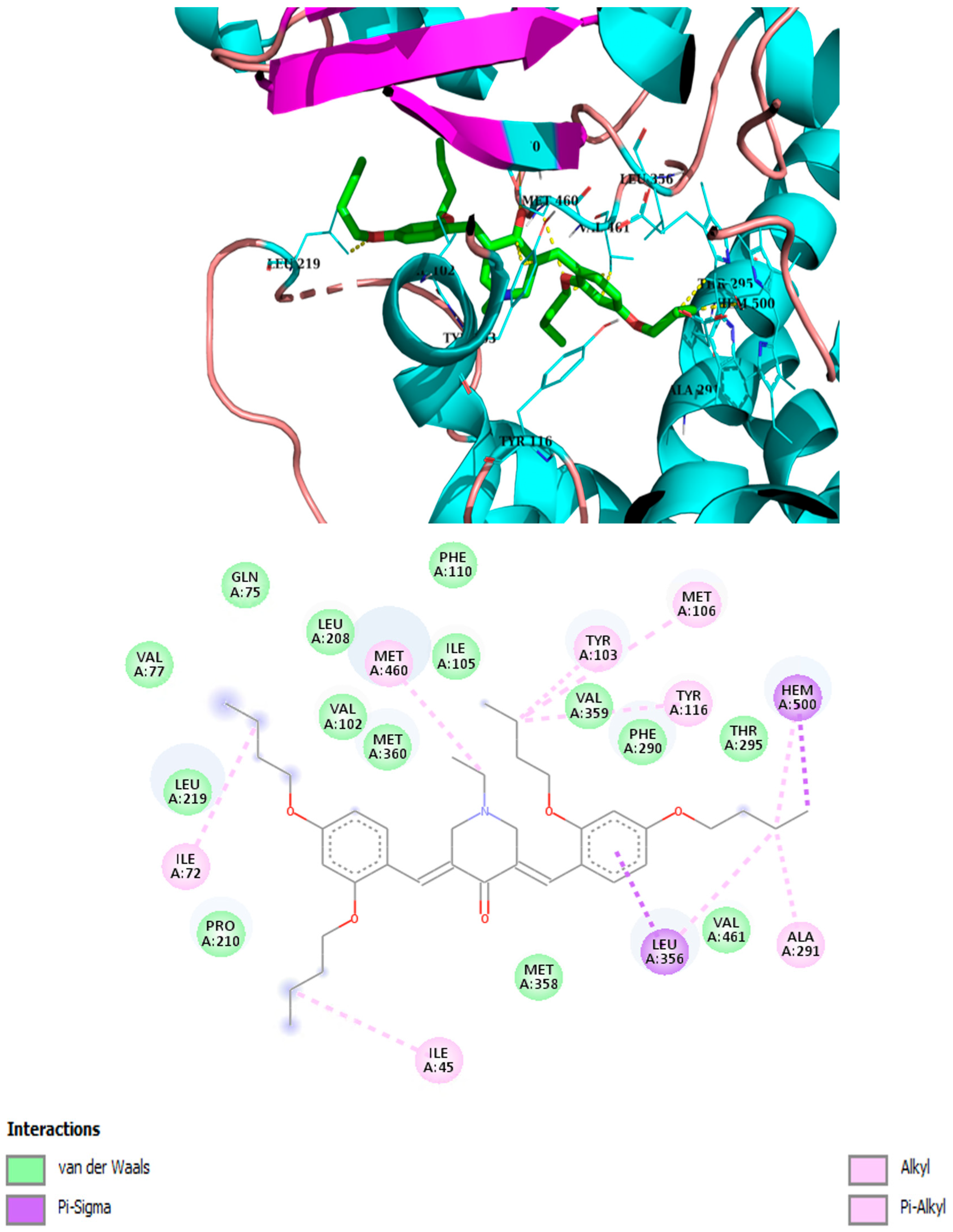 Antibiotics 14 00883 g005