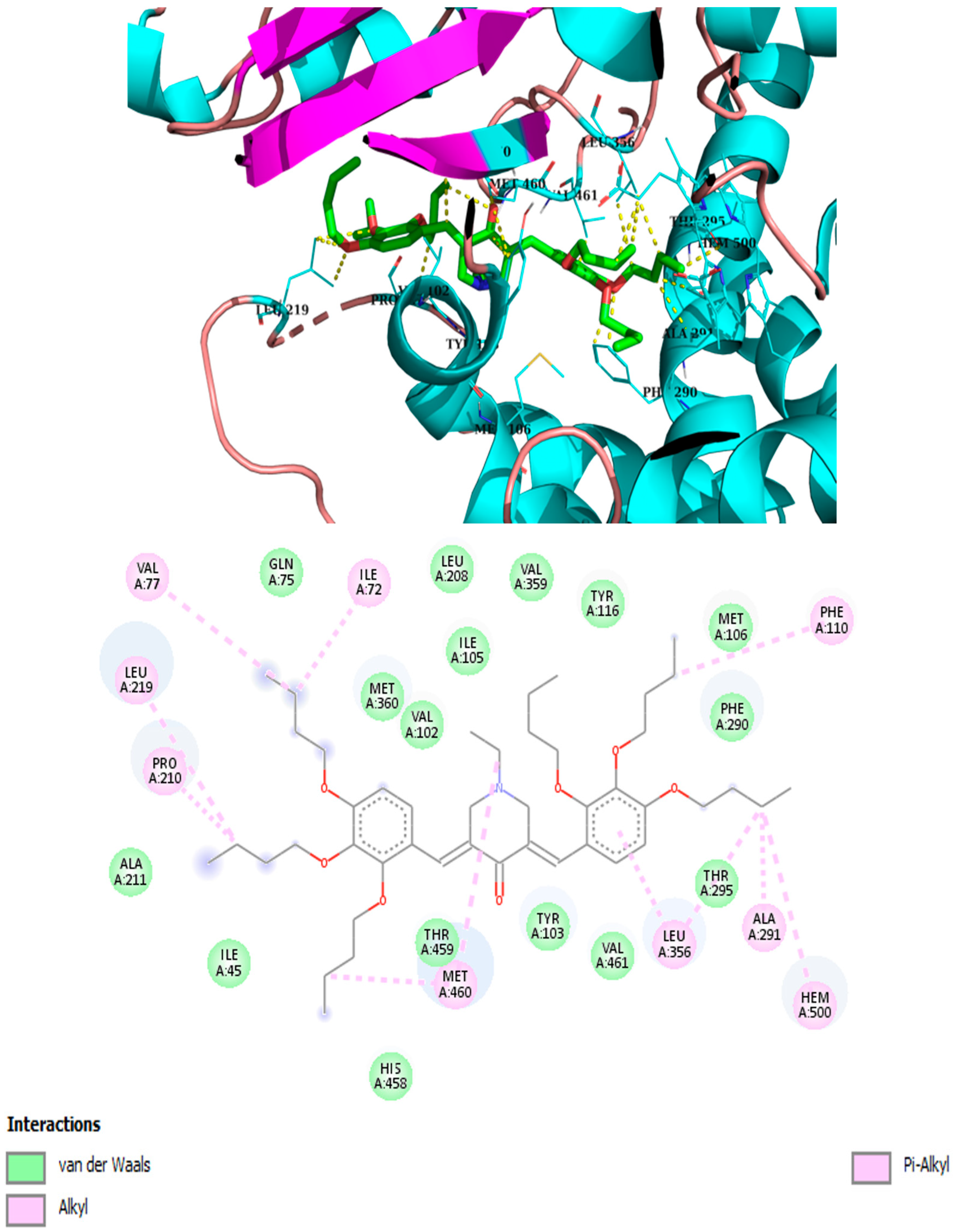 Antibiotics 14 00883 g006