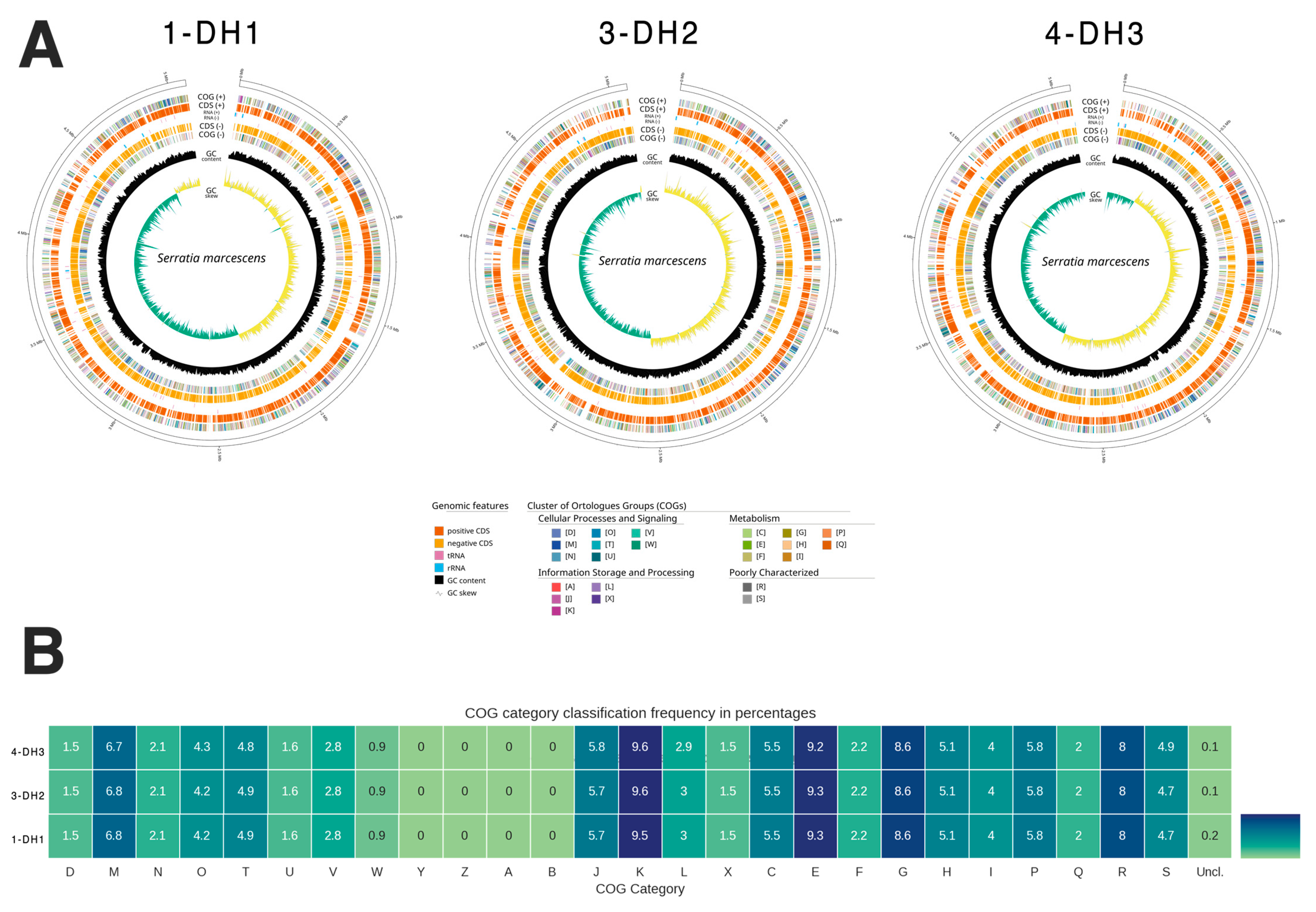 Antibiotics 14 00892 g001 Antibiotics 14 00892 g001