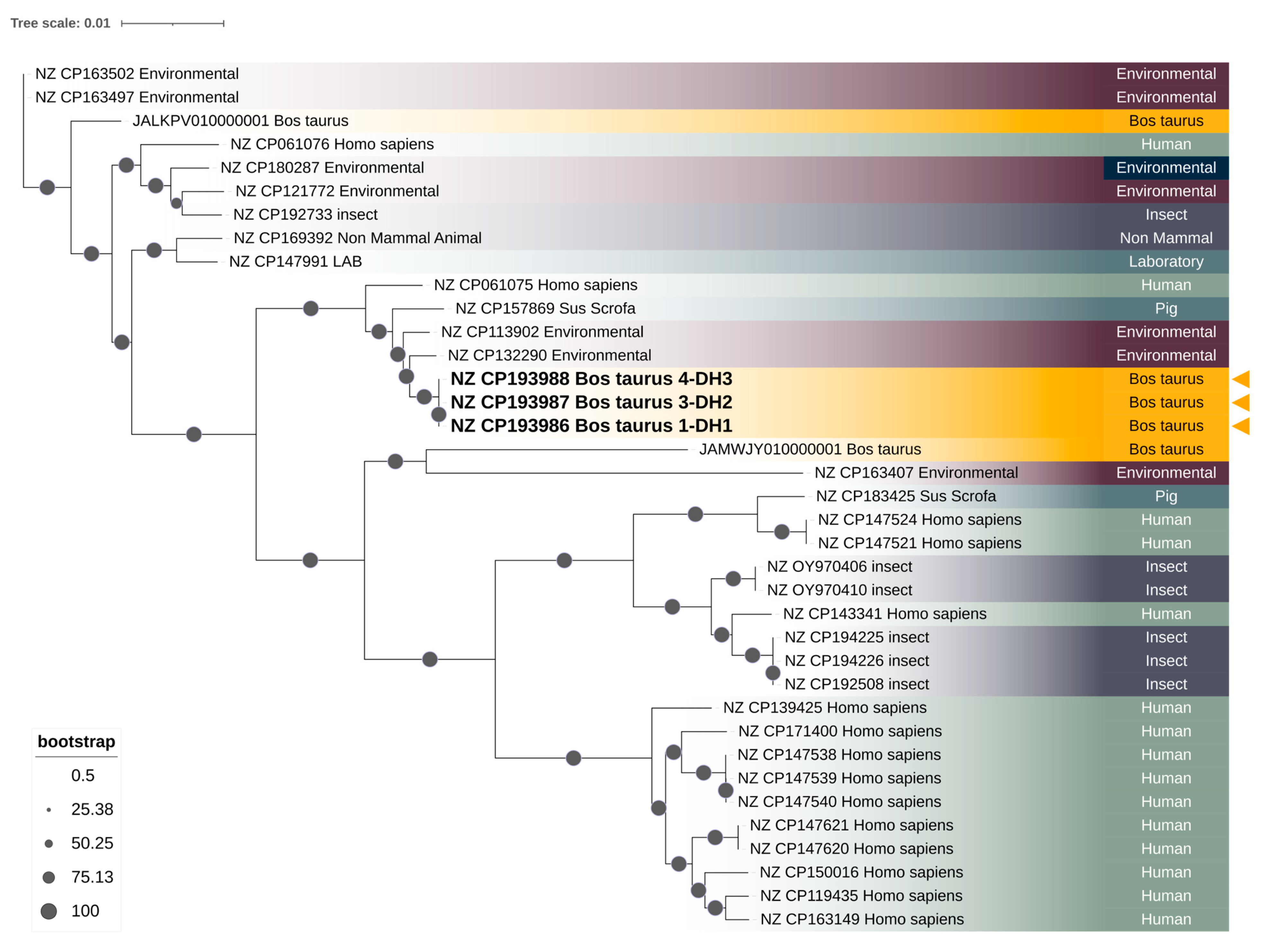 Antibiotics 14 00892 g002 Antibiotics 14 00892 g002