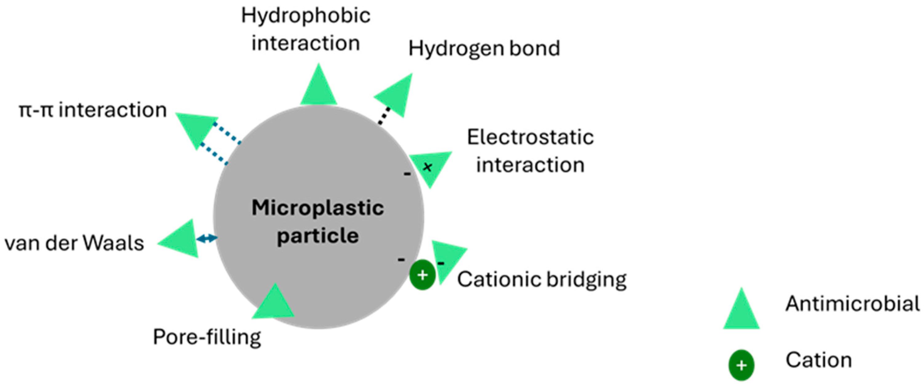 Antibiotics 14 00896 g001