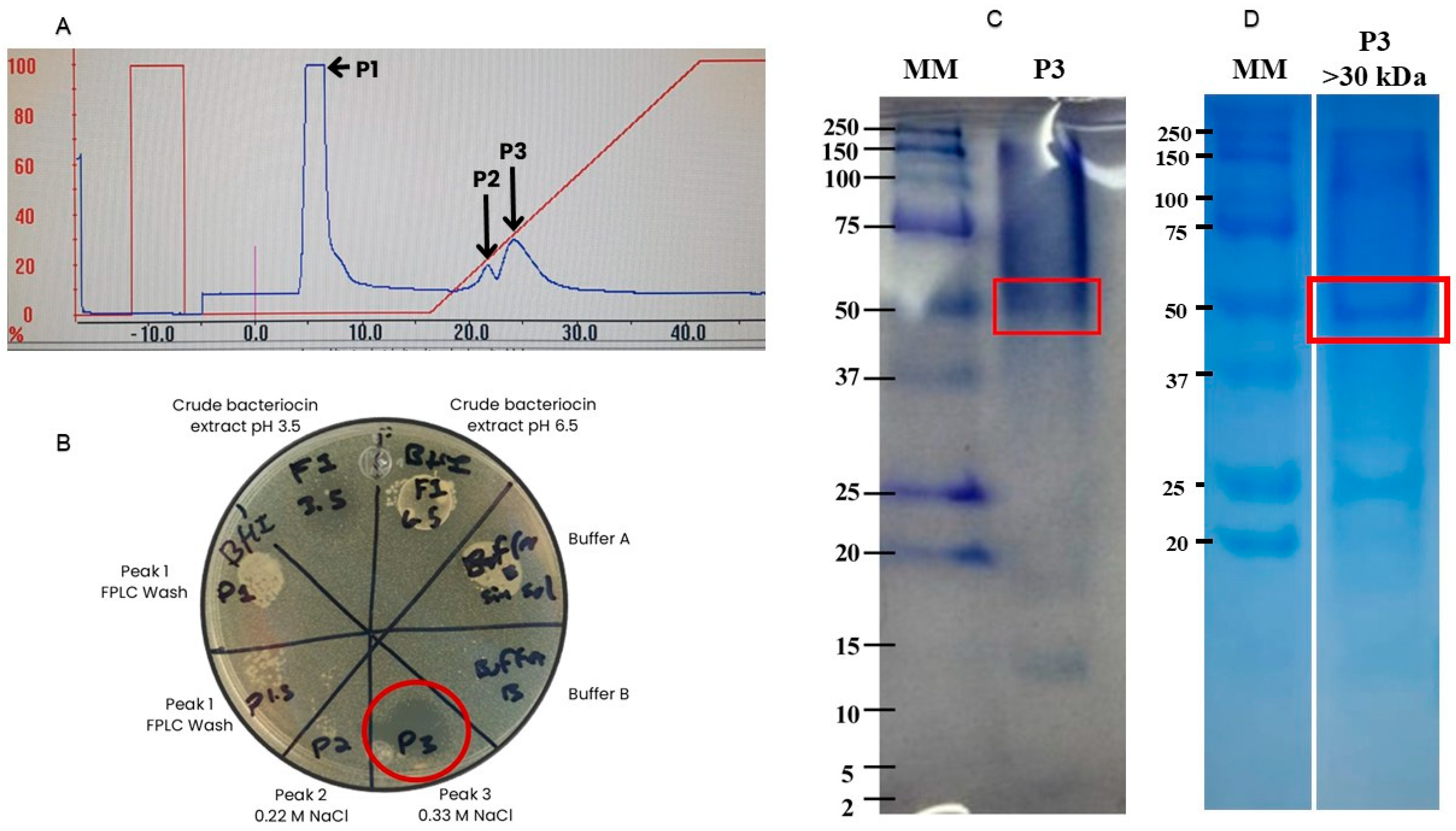 Antibiotics 14 00903 g001 Antibiotics 14 00903 g001