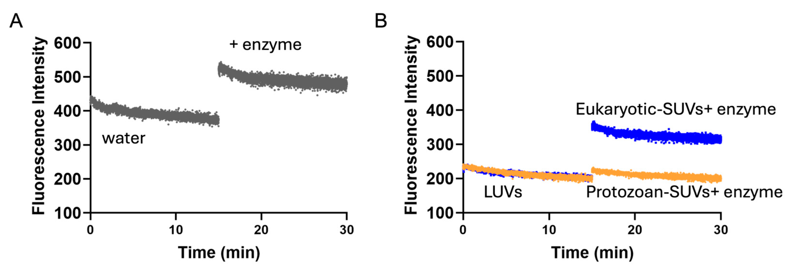 Antibiotics 14 00913 g004