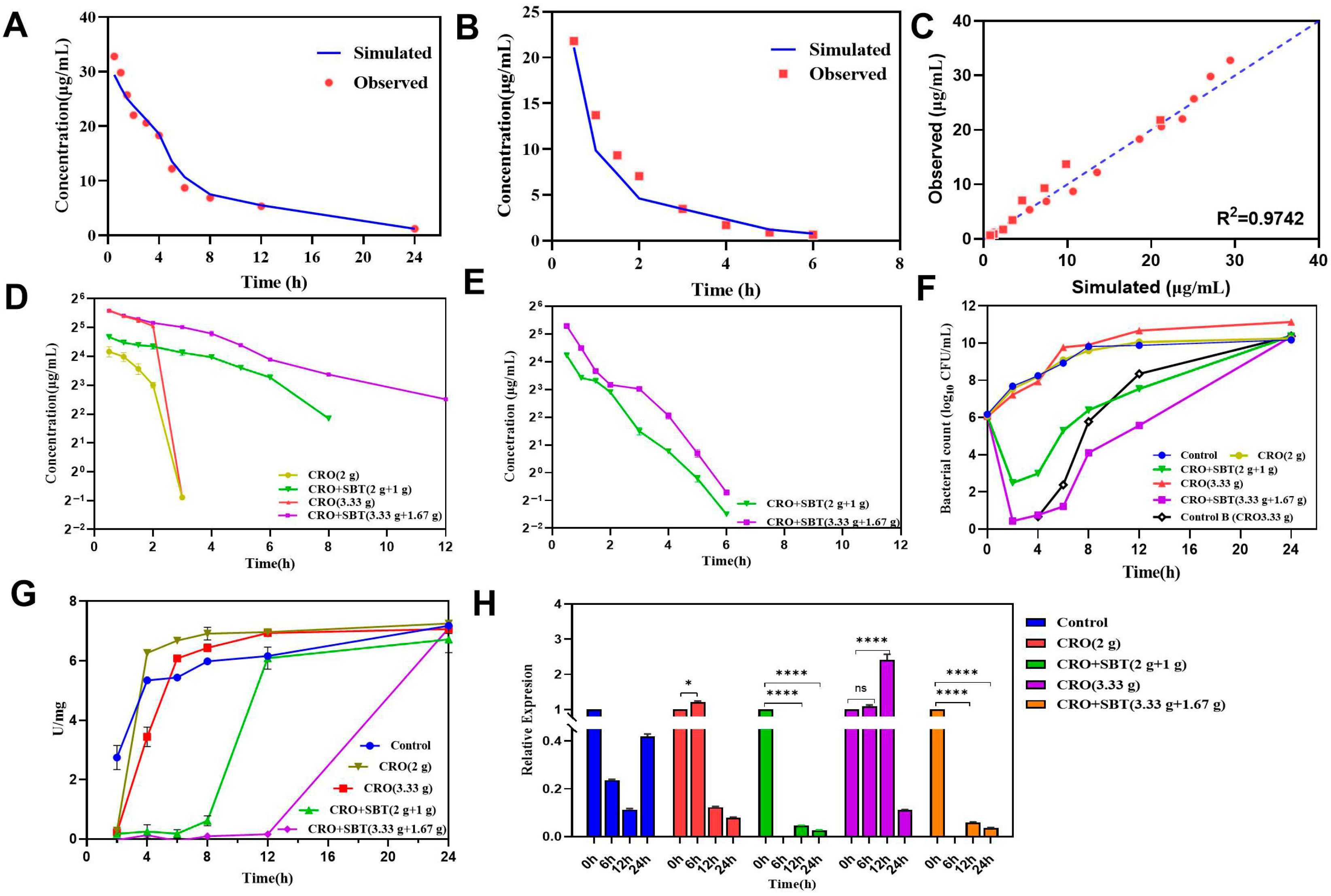 Antibiotics 14 00915 g004