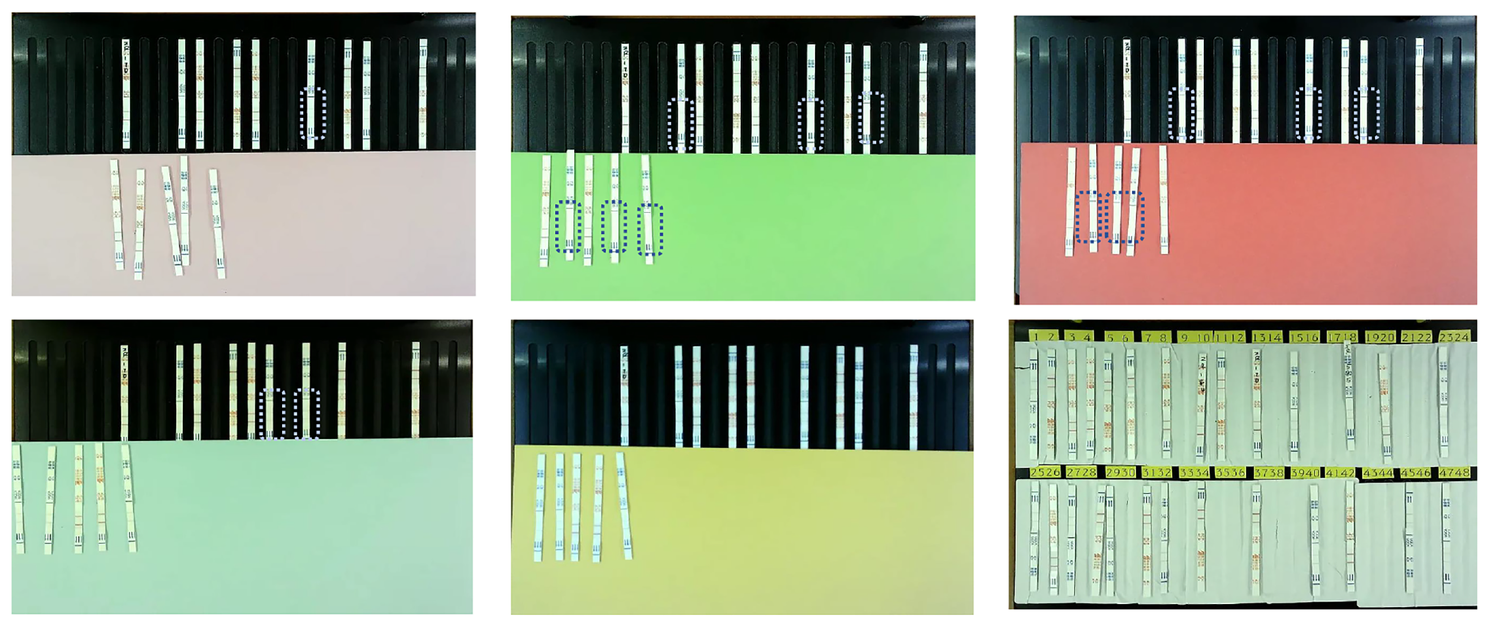 Antibiotics 14 00917 g001