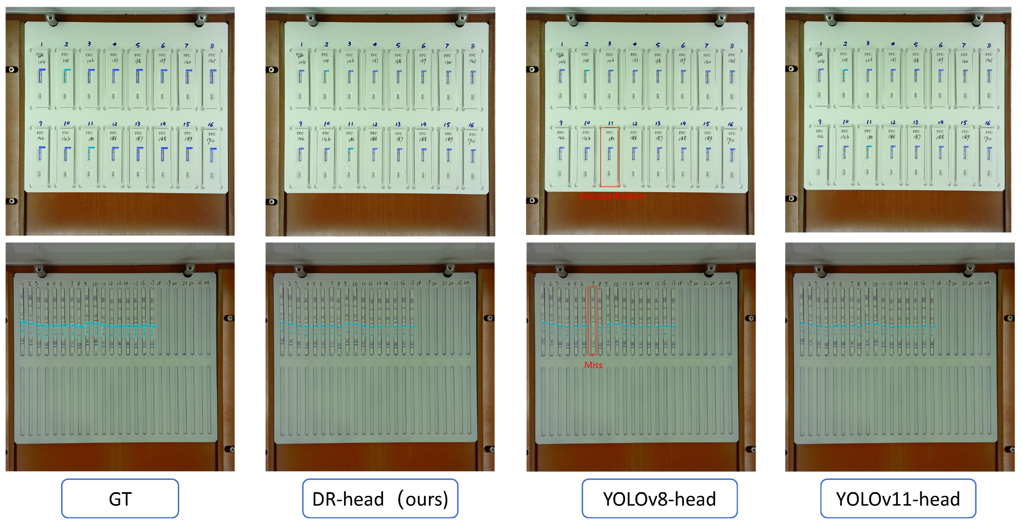 Antibiotics 14 00917 g002