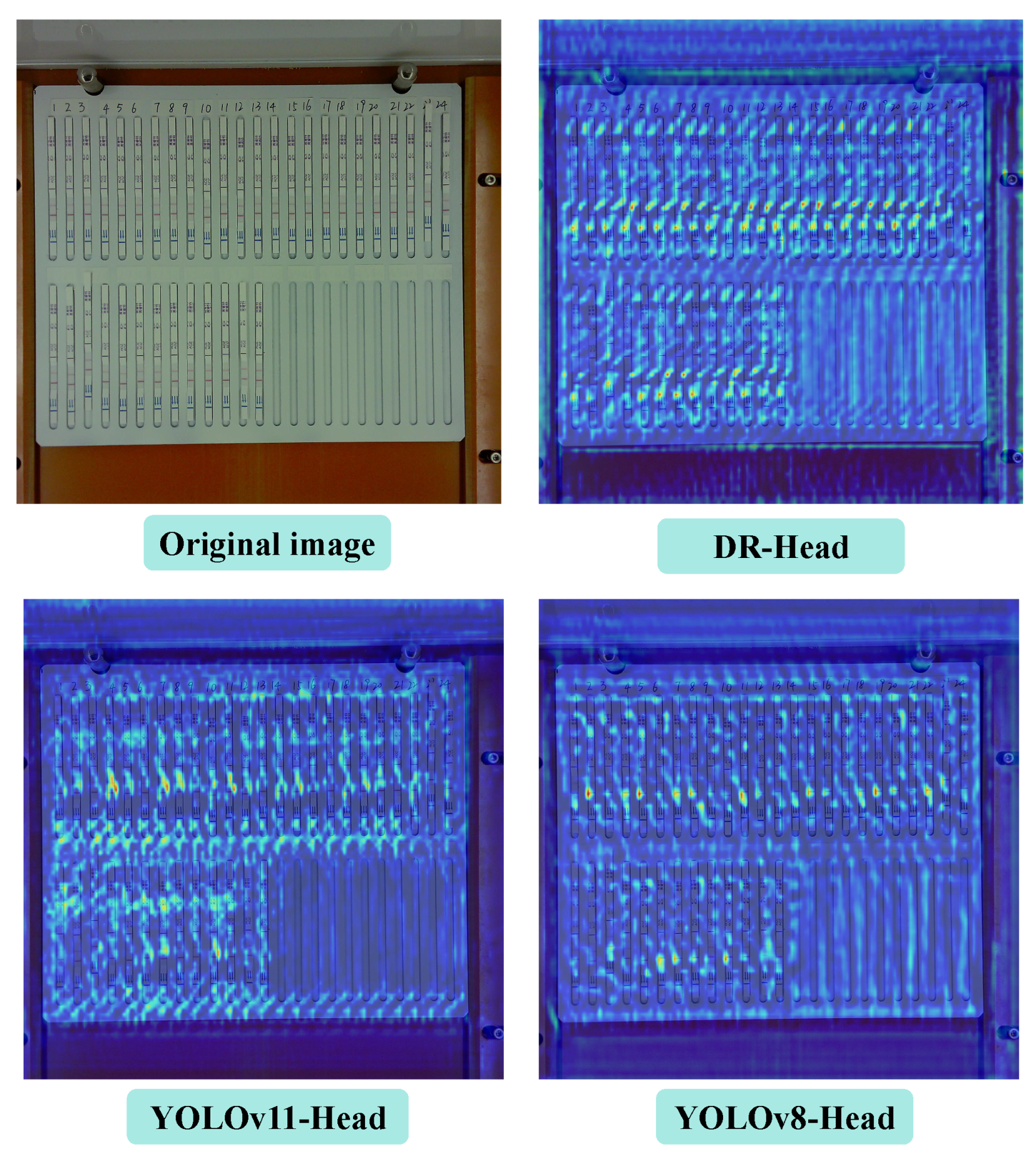 Antibiotics 14 00917 g003