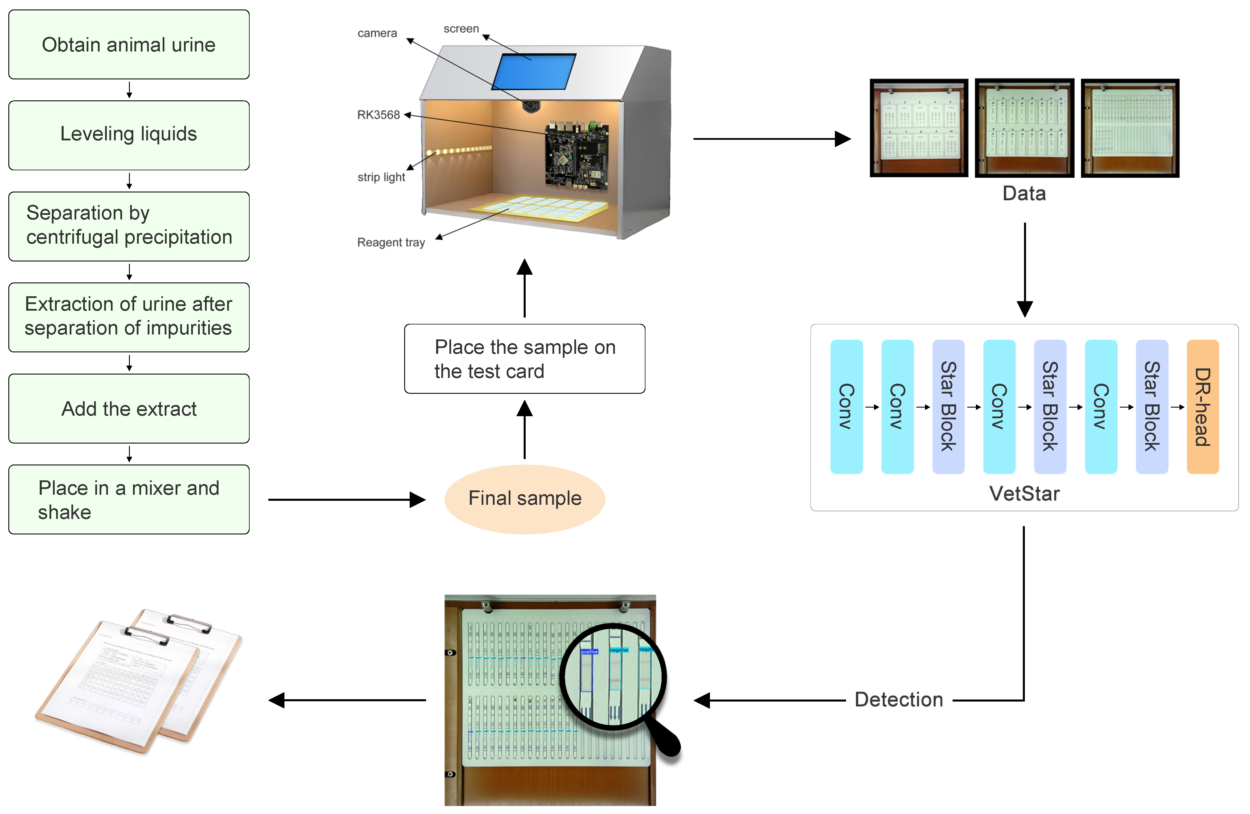 Antibiotics 14 00917 g006
